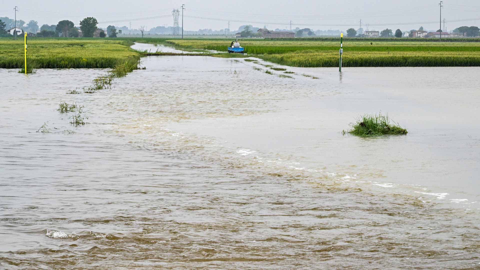 Image for the title: Italy flood death toll rises to 14 