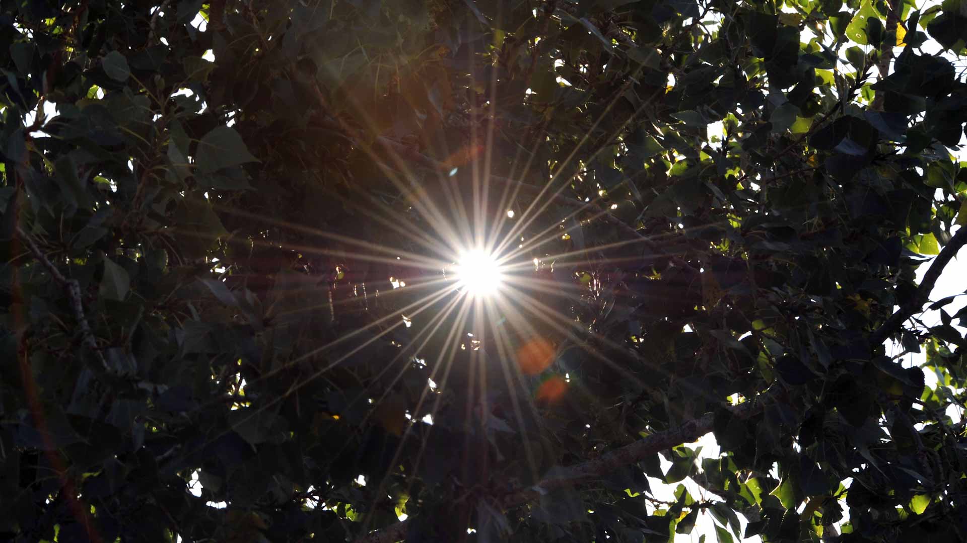 صورة بعنوان: حصر الاحترار بـ" 1.5 ْ" يمنع جموح تغير المناخ لكن لن يجنب معاناته 