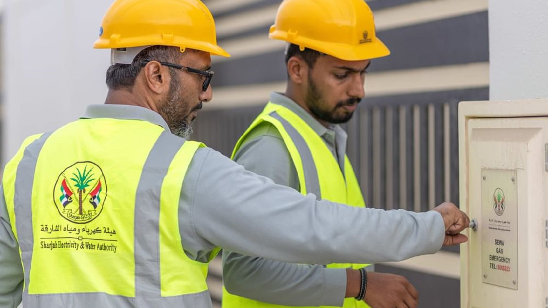 صورة بعنوان: كهرباء الشارقة تنفذ مشروعاً لتمديد خطوط رئيسية لشبكة الغاز بكلباء 