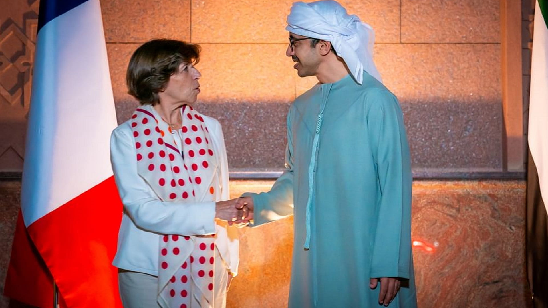 Image for the title: Abdullah bin Zayed, French counterpart discuss bilateral ties 