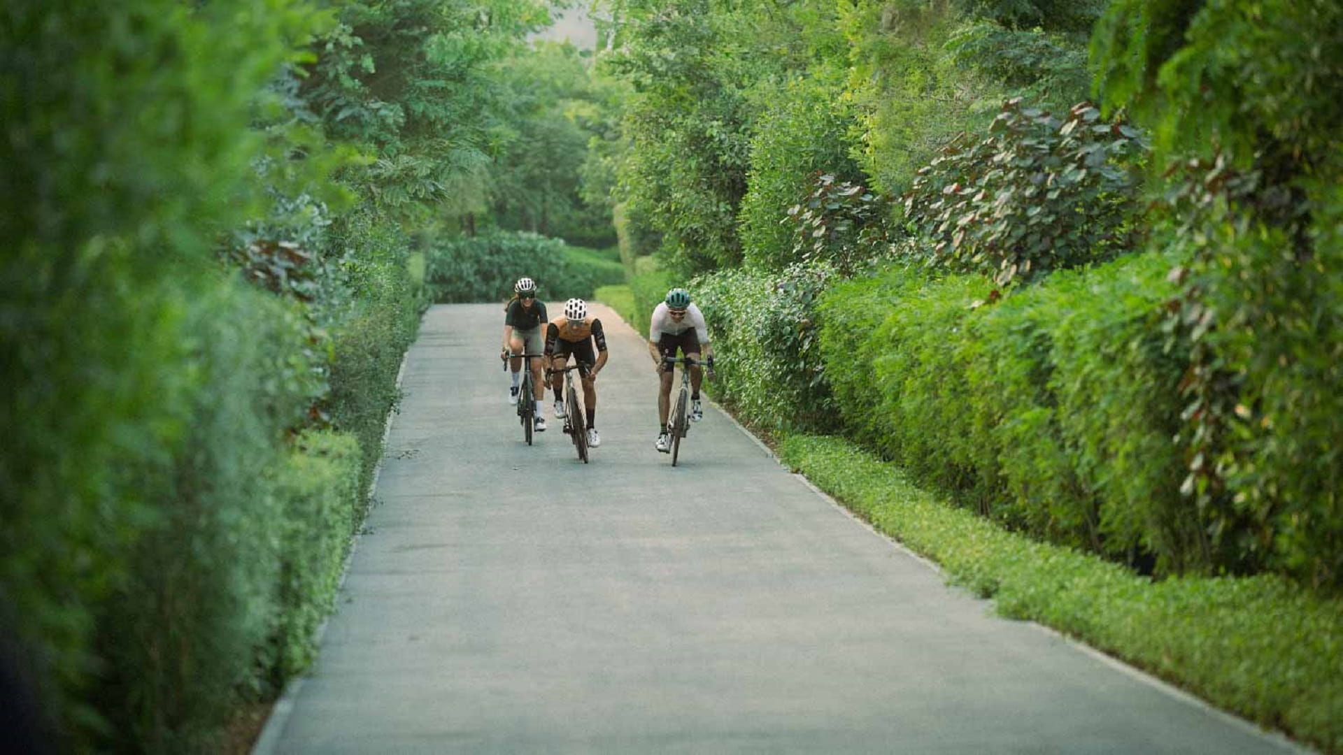 Image for the title: Arada opens Masaar Track at forested Sharjah megaproject 