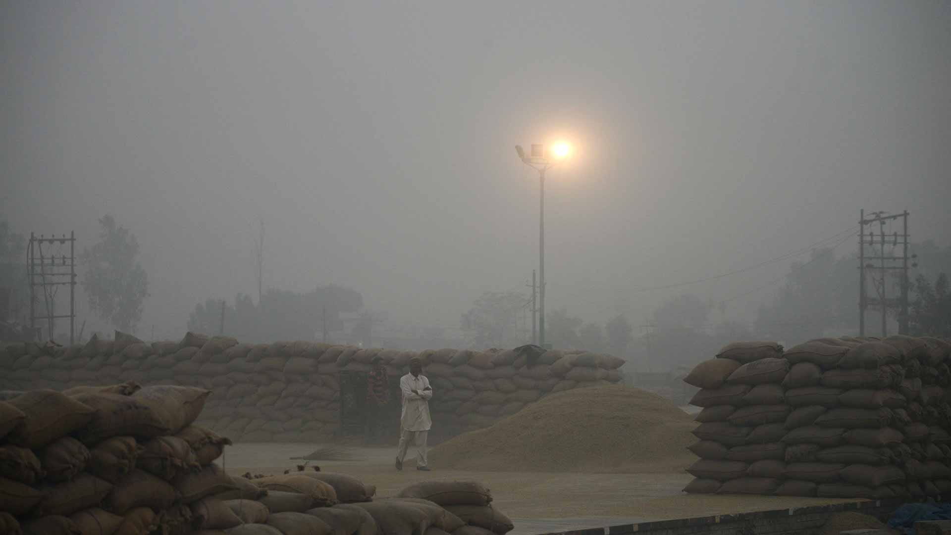 Image for the title: Indian capital resumes some activities despite hazardous air 