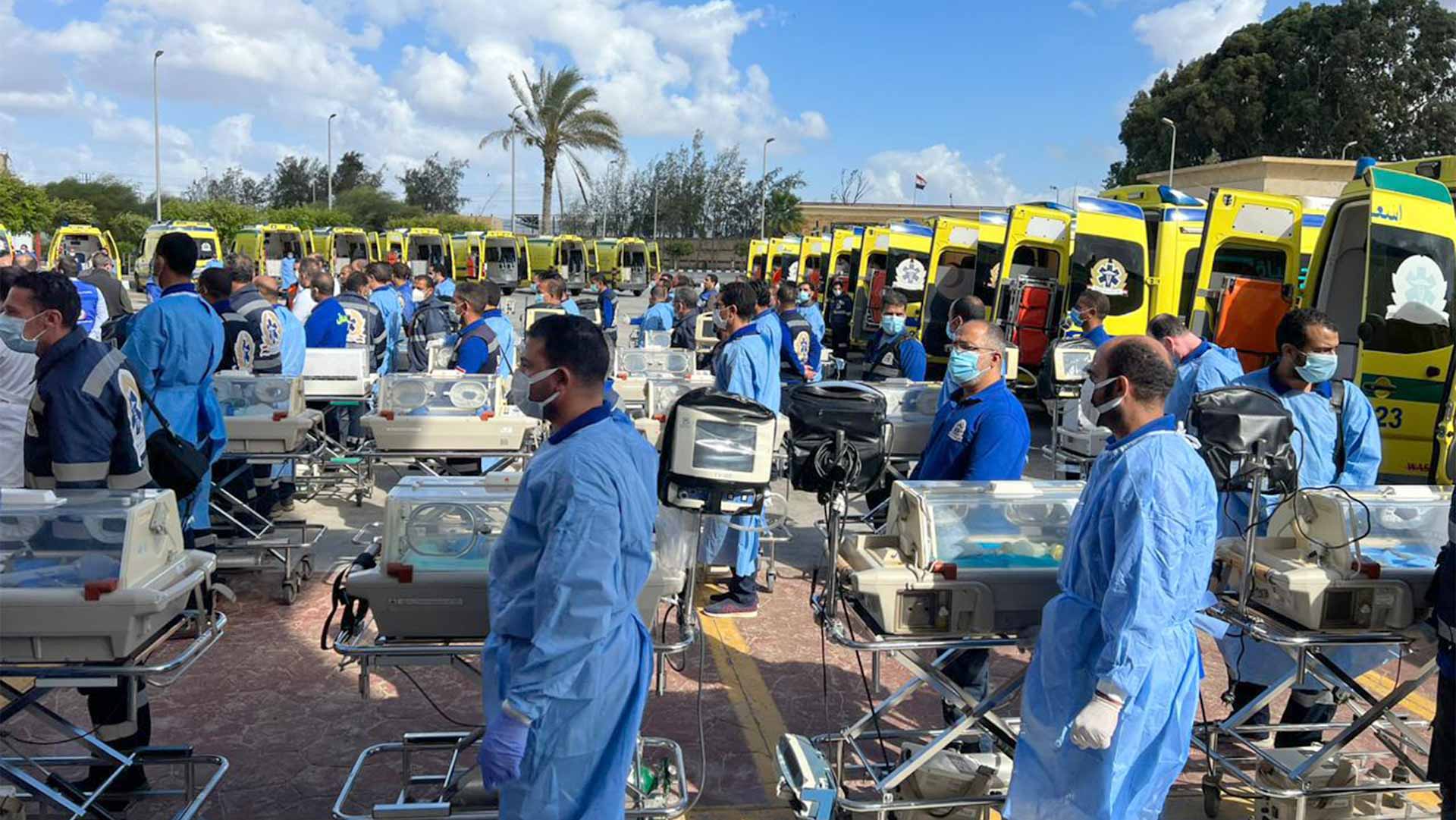 Image for the title: Gaza babies evacuated to Egypt 