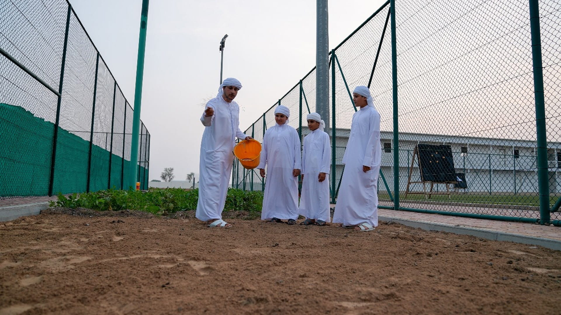 صورة بعنوان: لاعبو نادي مليحة ينثرون بذور القمح في عدد من المسطحات الخضراء 
