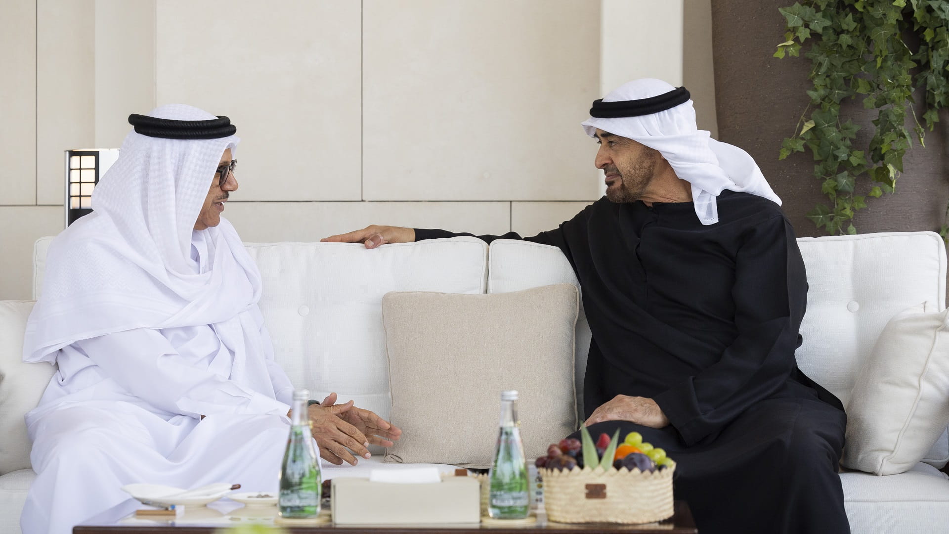 Image for the title: UAE President receives Bahraini Foreign Minister 