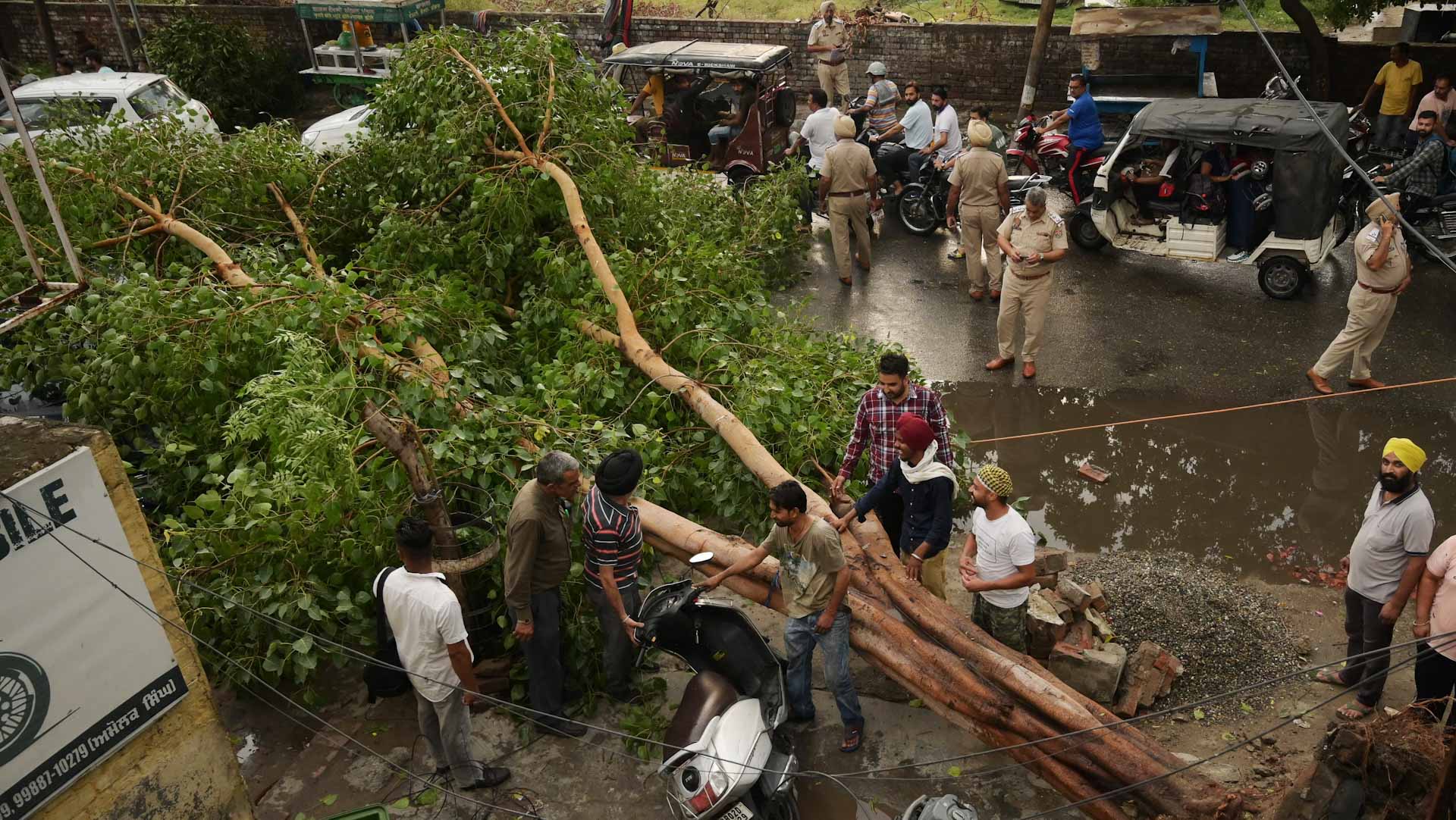 Image for the title: Lightning strikes kill 18 people in India 