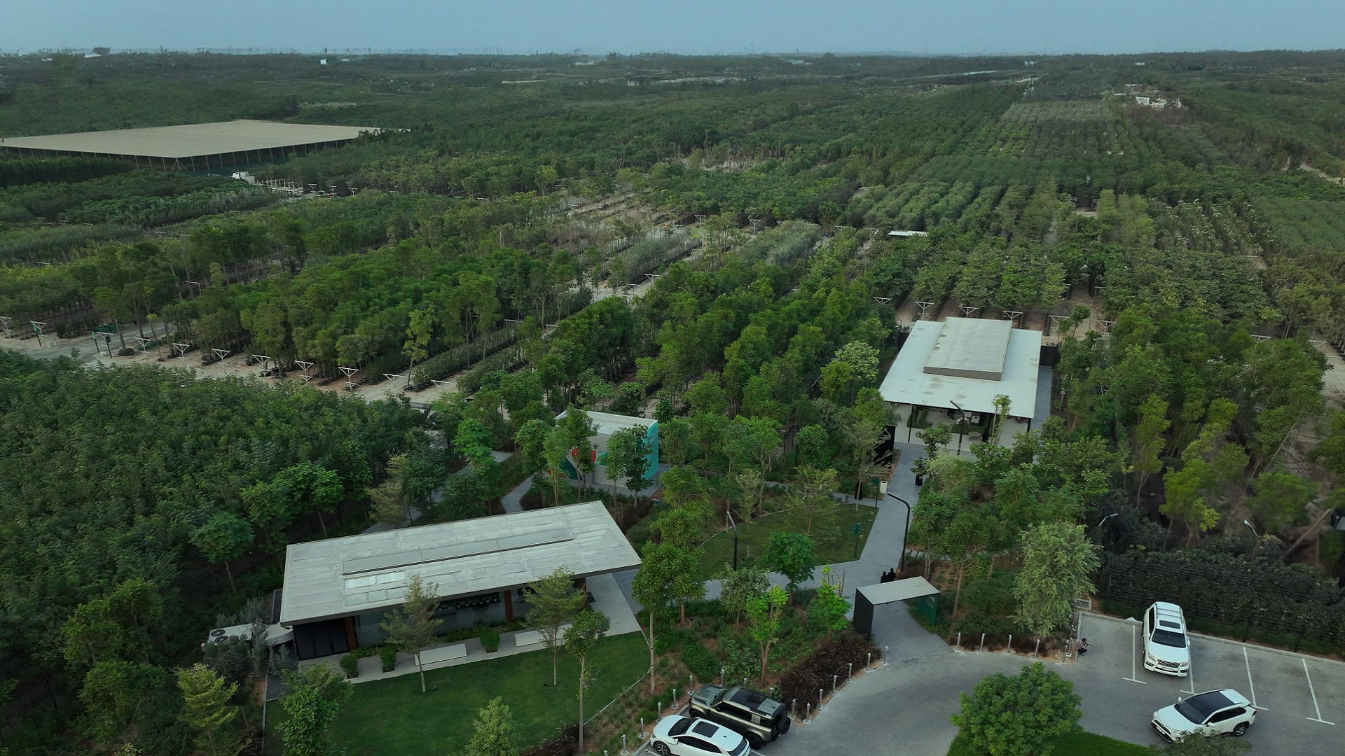 Image for the title: Arada opens Shajar at Sharjah megaproject Aljada 