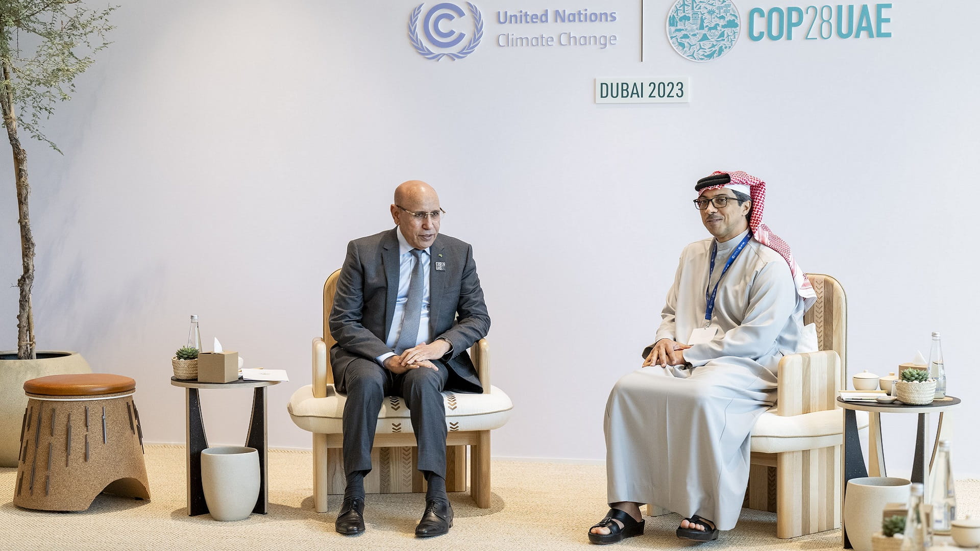 Image for the title: Mansour bin Zayed, Mauritania President discuss bilateral ties 