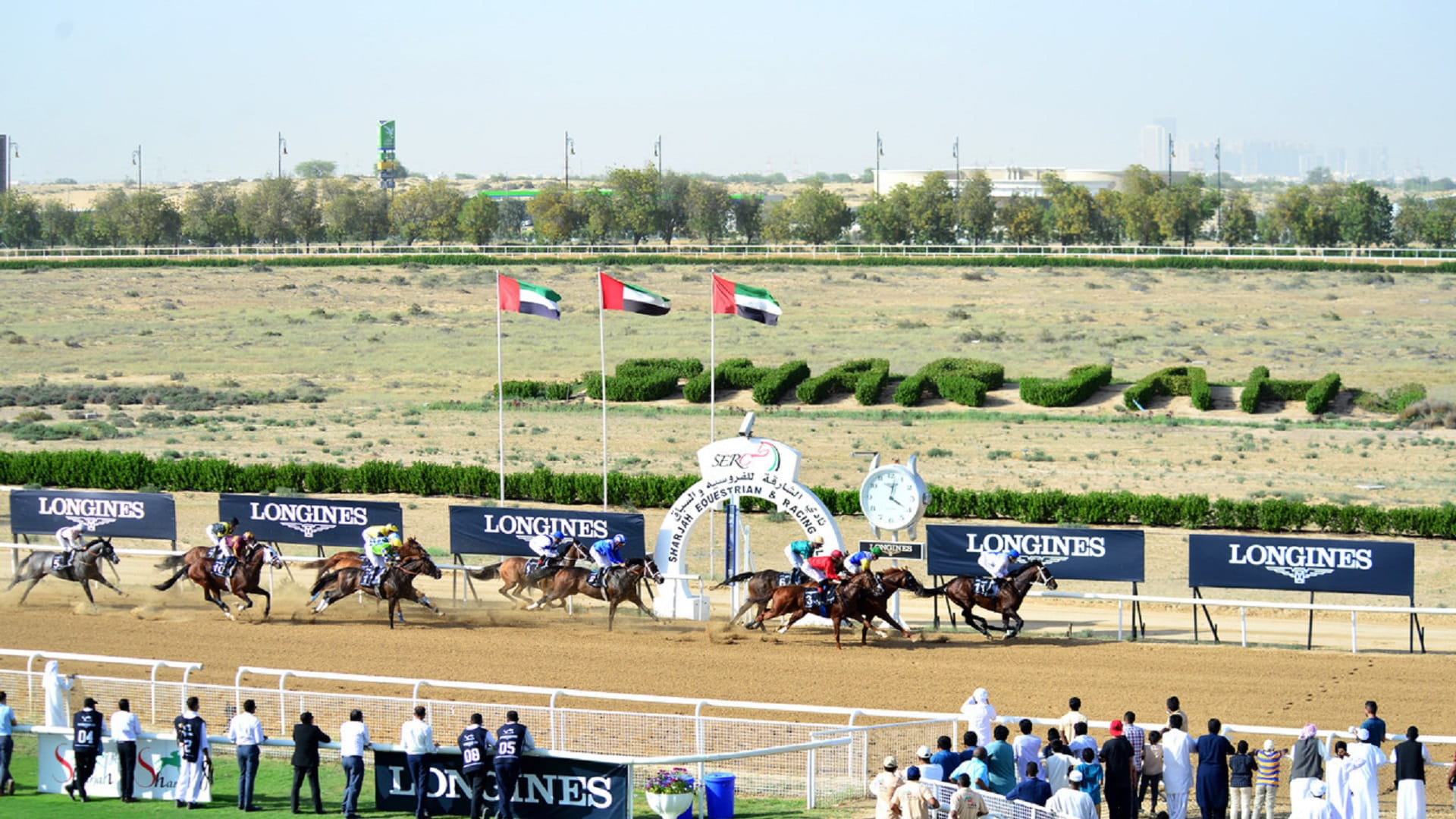 صورة بعنوان: كأس سلطان بن خليفة للخيل ينطلق الأحد في مضمار الشارقة لونجين 