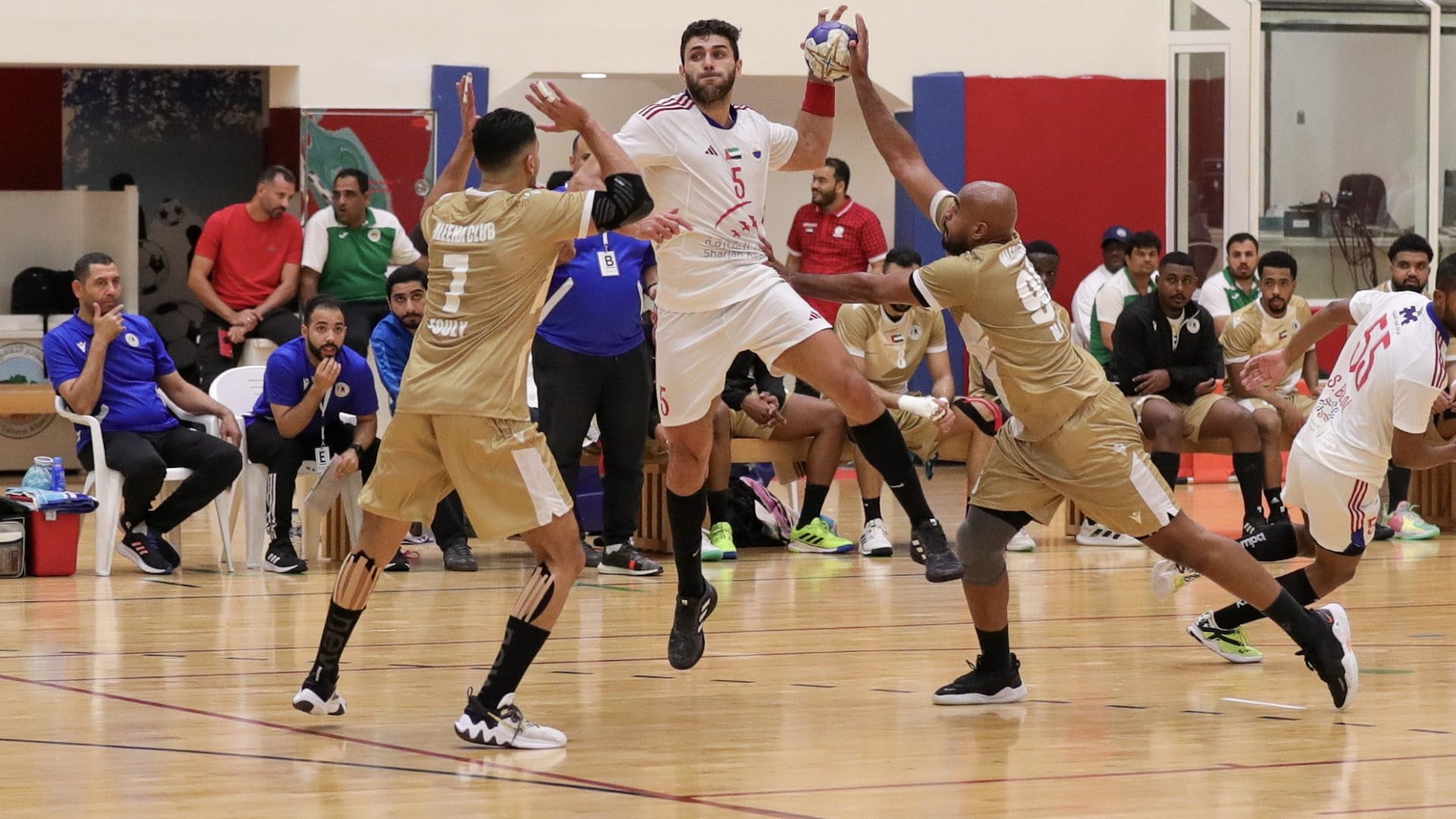 Image for the title: Sharjah club wins UAE Handball Cup for the sixth time 