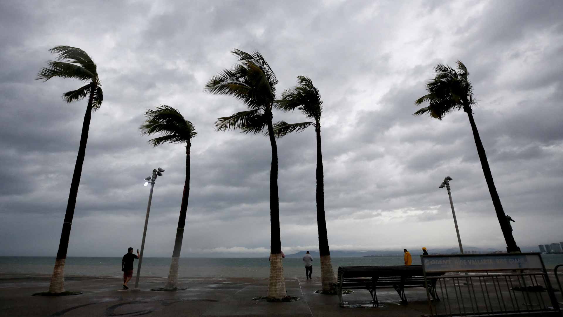 Image for the title: Mexico suffers at least one death from Hurricane Lidia 