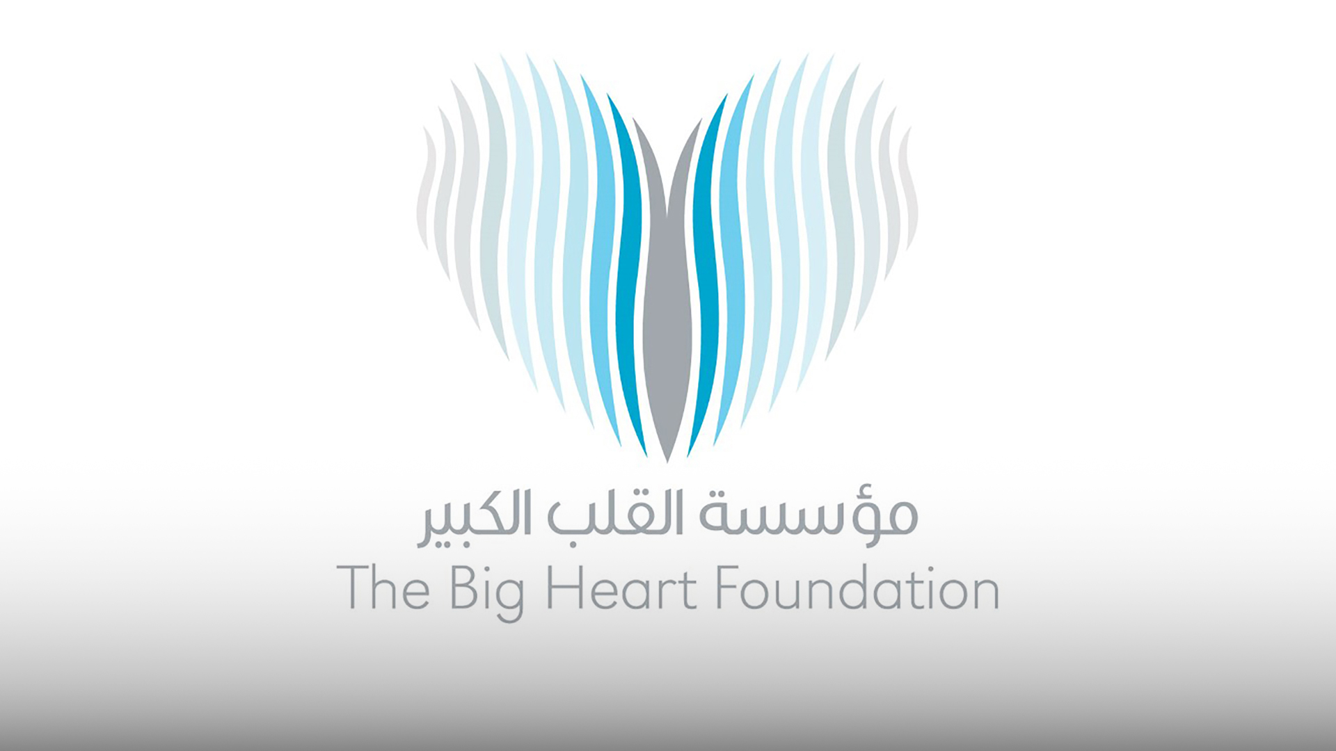 صورة بعنوان: "القلب الكبير" تطلق حملة لإغاثة الفلسطينيين المتأثرين من حرب غزة  