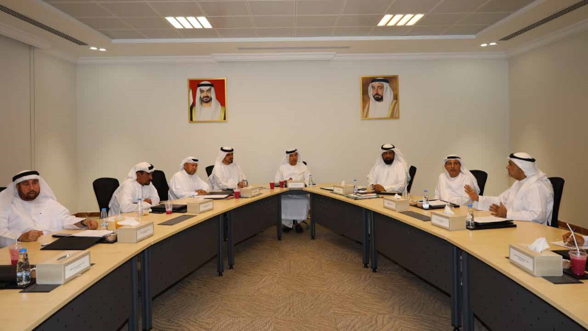 Image for the title: Dibba Al-Hisn Council meets in regular session 