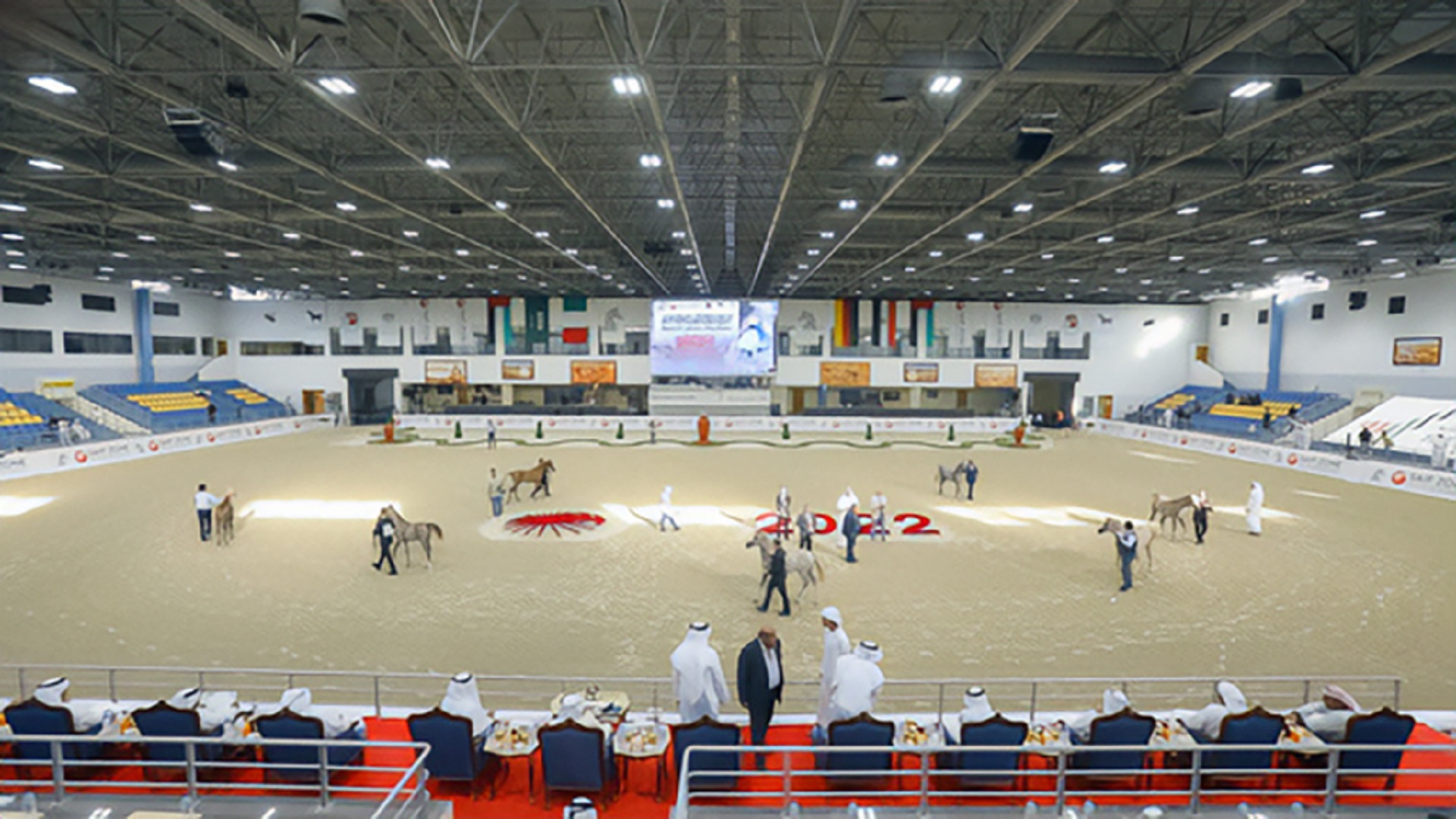 Image for the title: ‘Sharjah Arabian Horse Festival’, Egyptian breed, kicks off Oct 22 