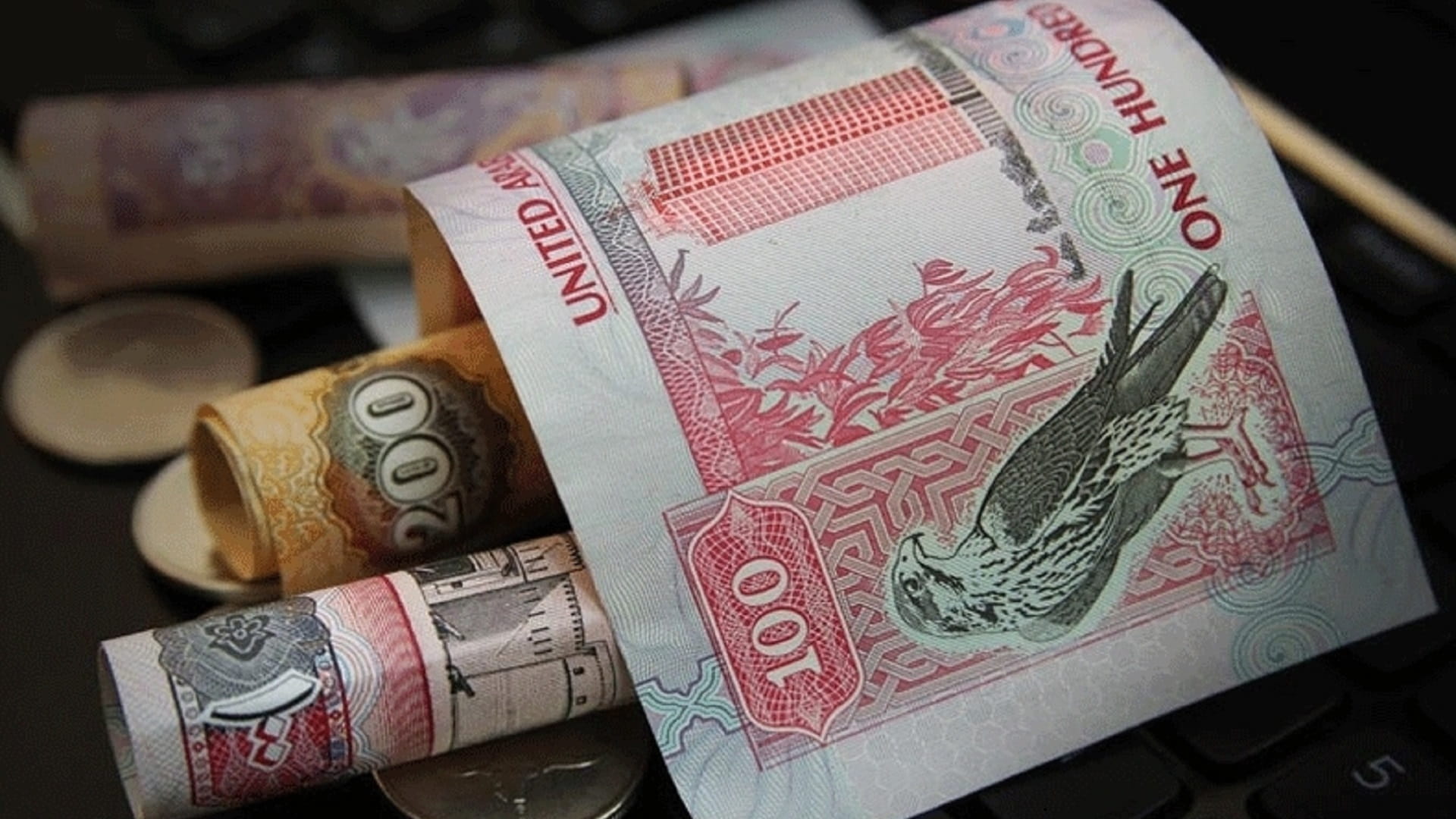 صورة بعنوان: 131 مليار درهم استثمارات القطاع المصرفي الإماراتي في التكنولوجيا 