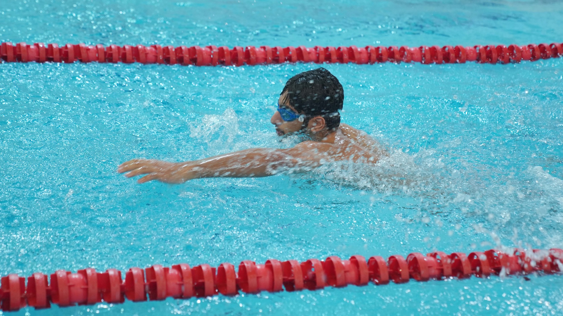Image for the title: 62 young people in Sharjah Youth Swimming Championship 