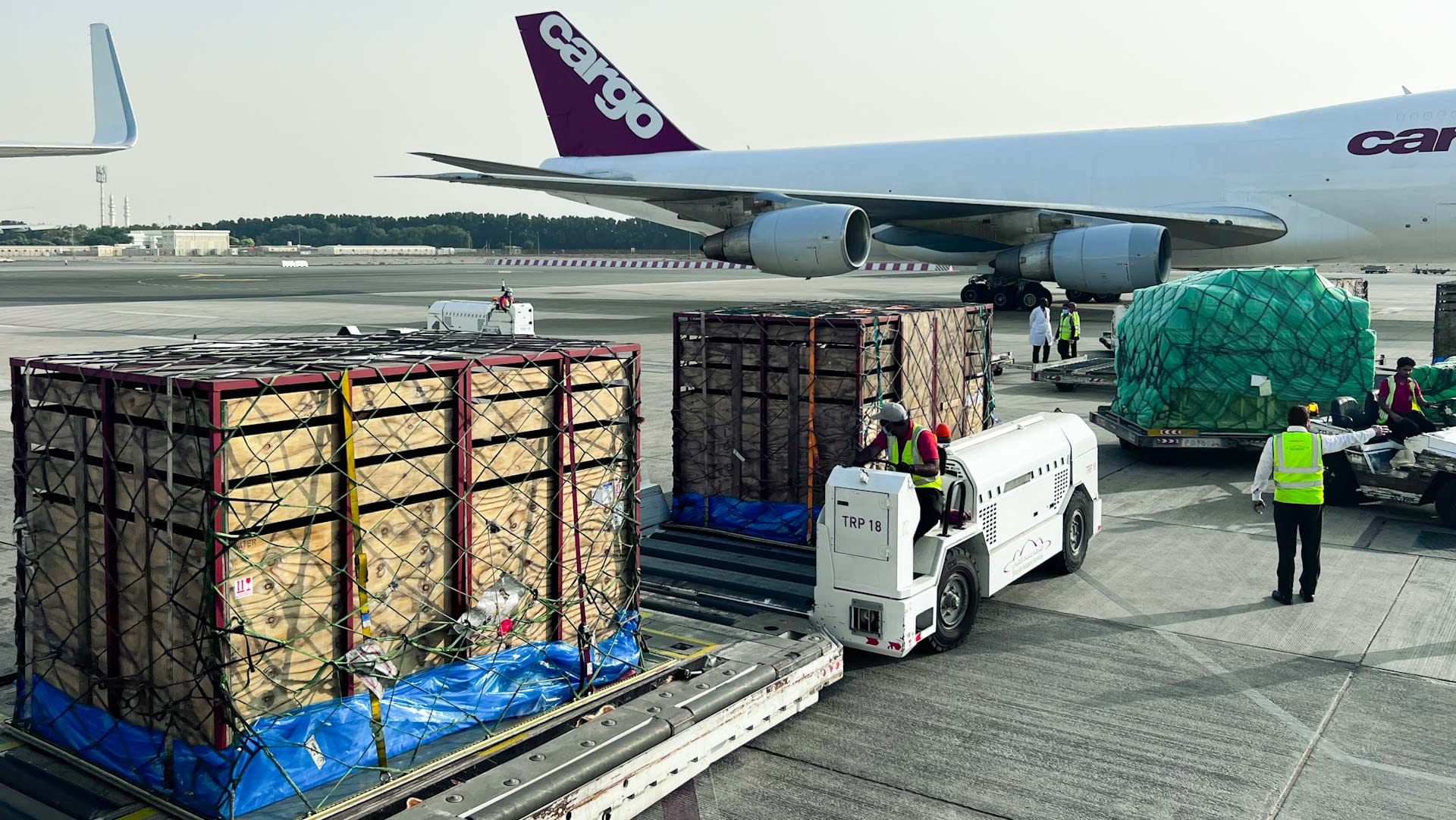 صورة بعنوان: سفاري الشارقة يستقبل مجموعة جديدة من الحيوانات 