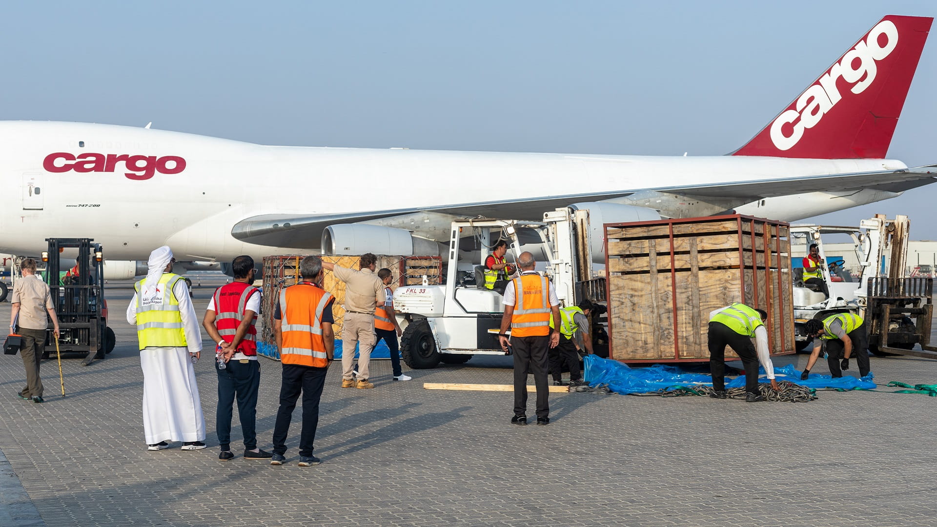 Image for the title: EPAA Introduces 61 New African Species to Sharjah Safari 