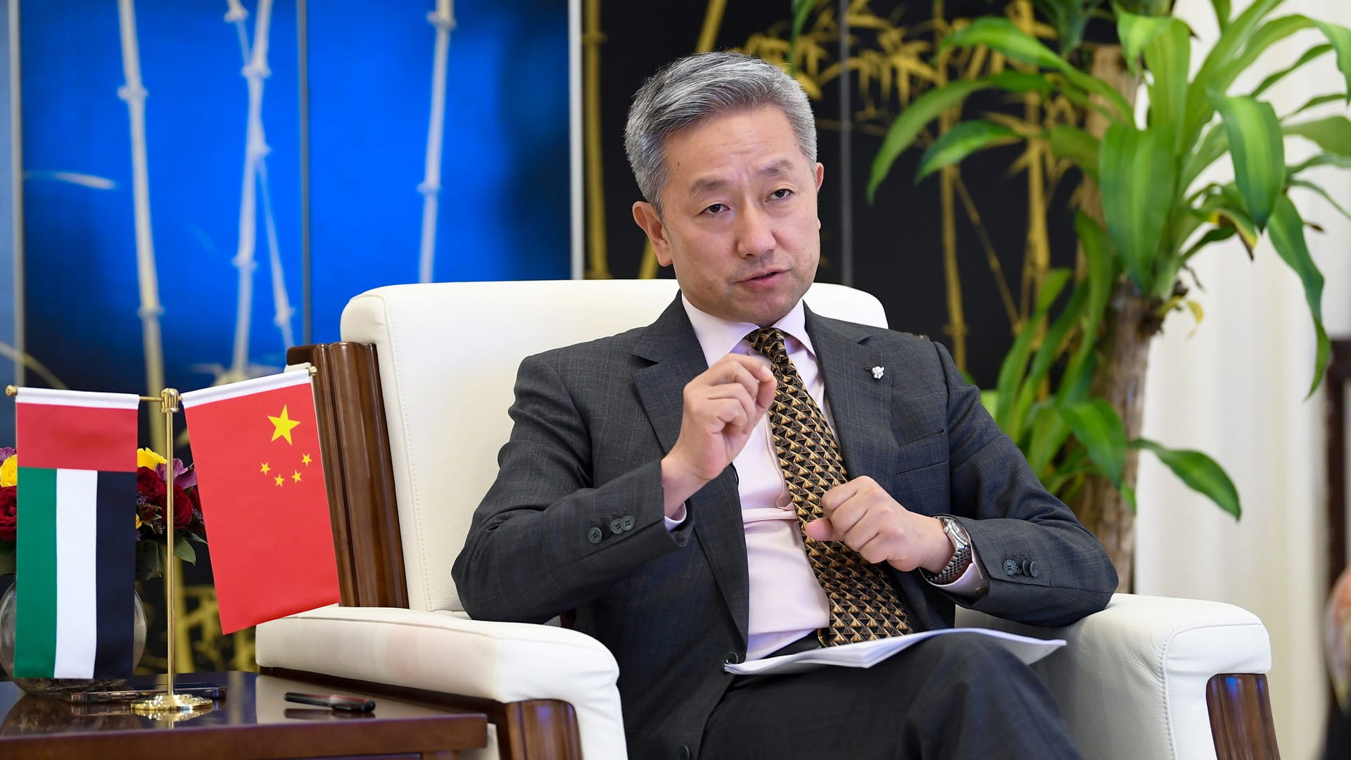 صورة بعنوان: الصين تعلن دعمها مساعي الدولة لتعزيز جهود مواجهة التحديات المناخية 