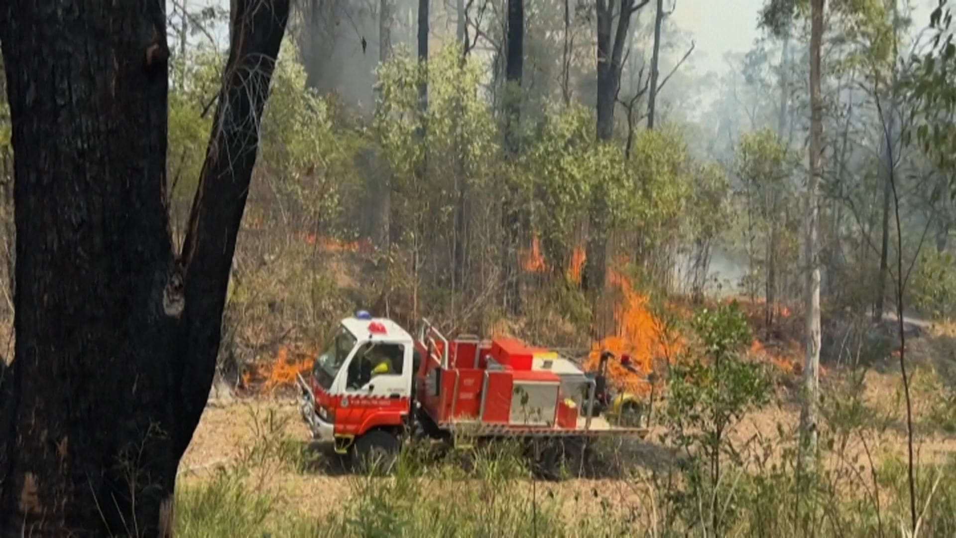 صورة بعنوان: بخروجها عن السيطرة...ألسنة النيران تلتهم الطبيعة الخضراء بأستراليا 