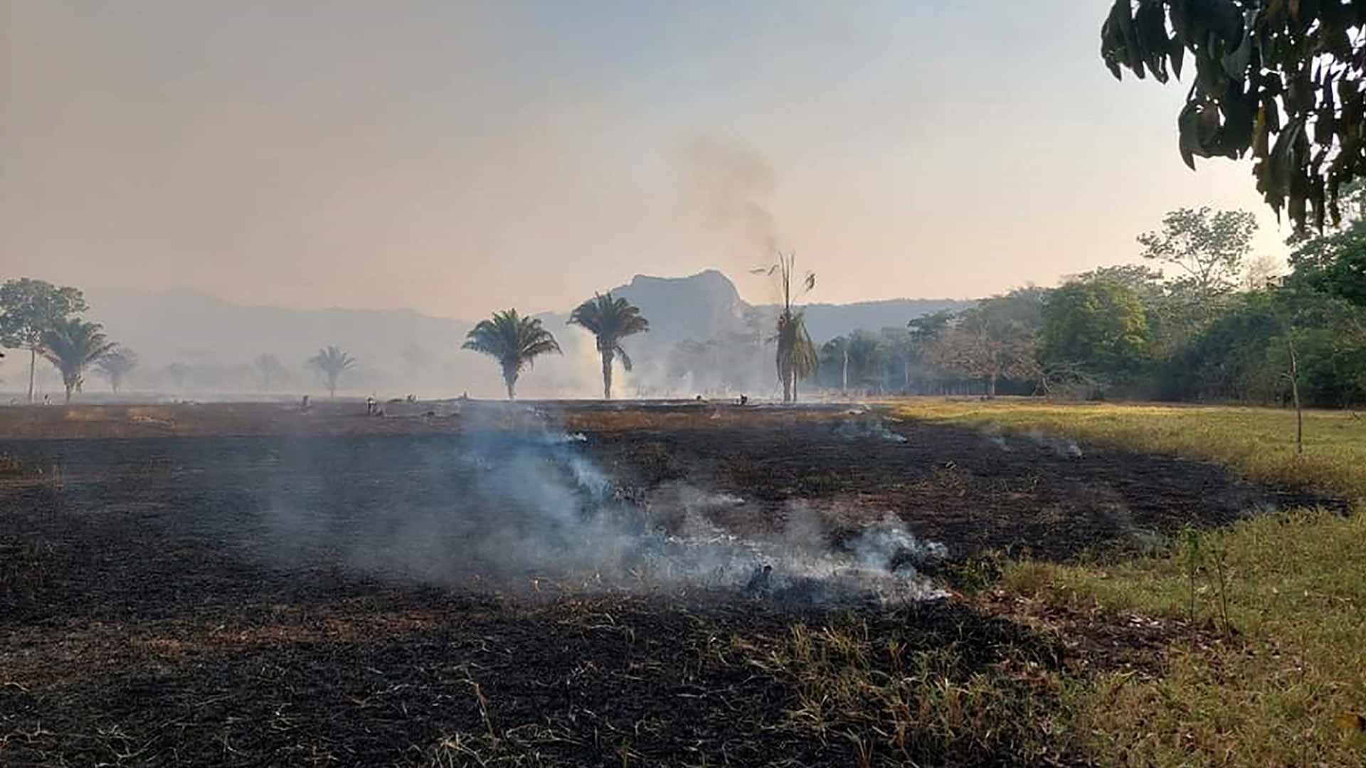 Image for the title: 1.5C goal on the line as countries gear up for key climate talks 