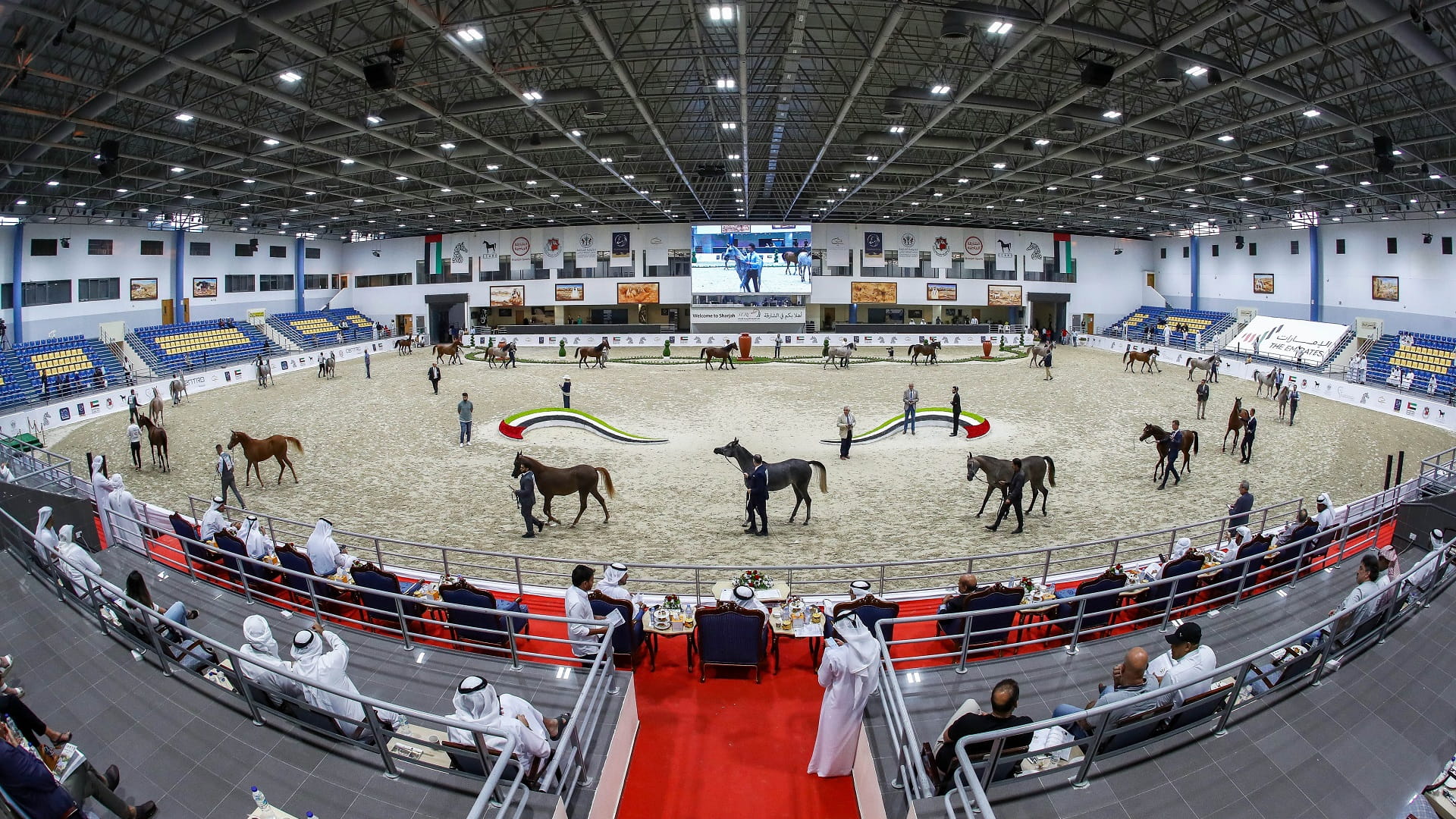 صورة بعنوان: مهرجان الشارقة للجواد العربي "إنتاج محلي" يطلق نسخته الـ20 الخميس 