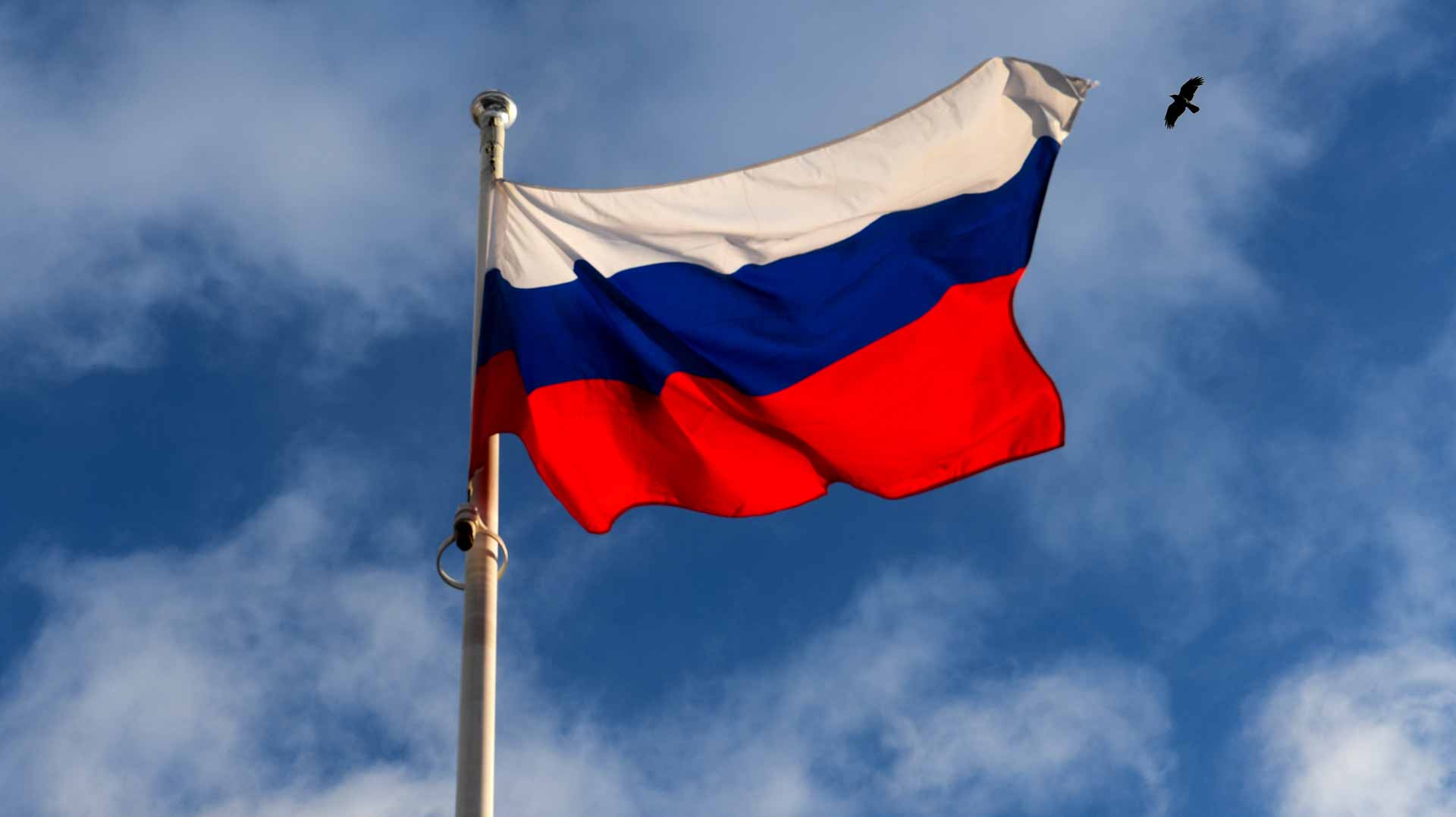 Image for the title: Russia signs 280,000 for contract military service this year 