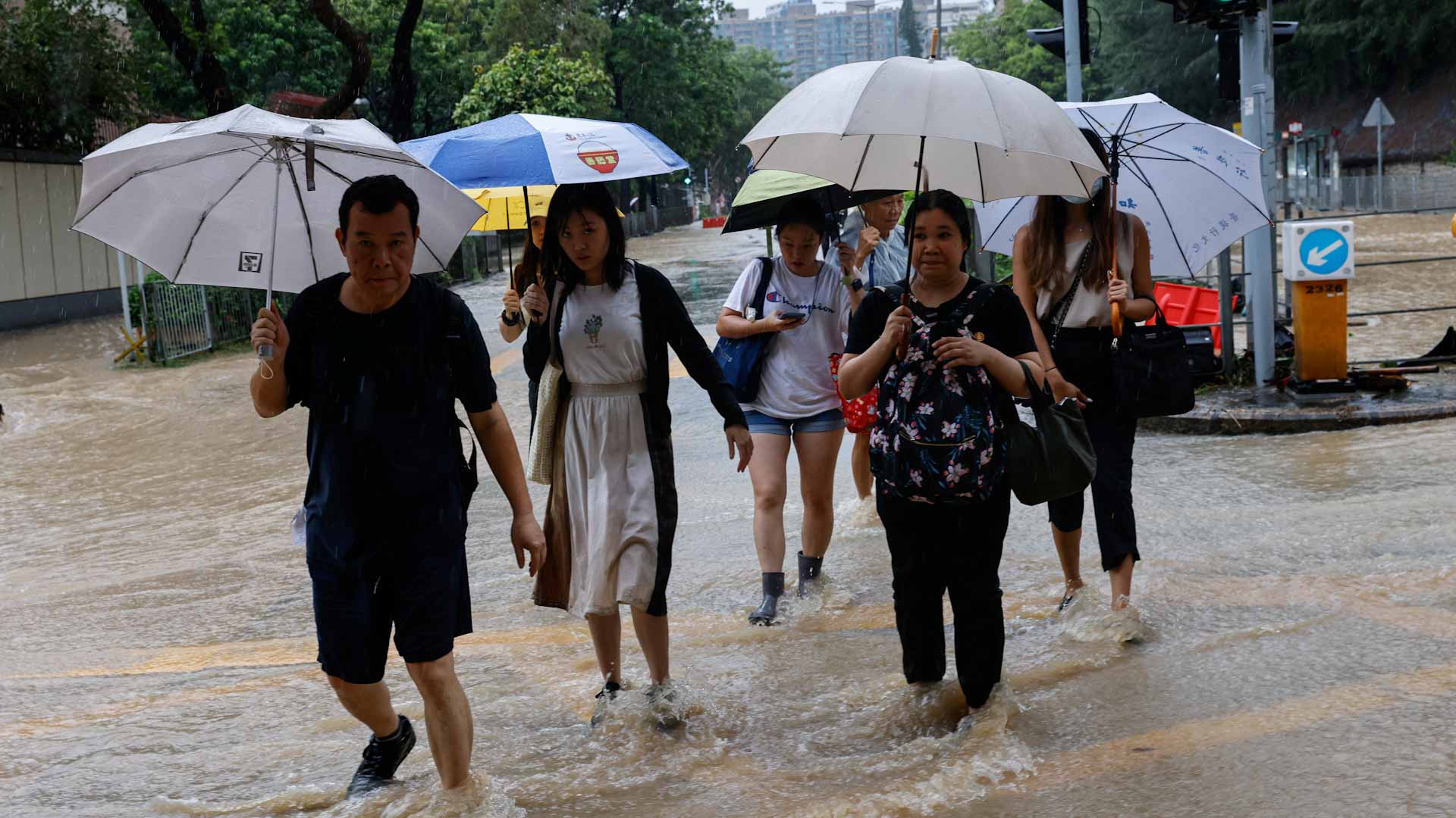 صورة بعنوان: بعد إعصار هايكوي...أمطار غزيرة تشل الحركة بجنوب الصين وتغلق مدارس  