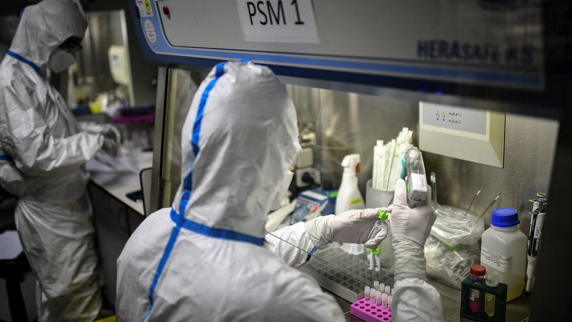 Image for the title: COVID mutates rapidly in white-tailed deer: study 