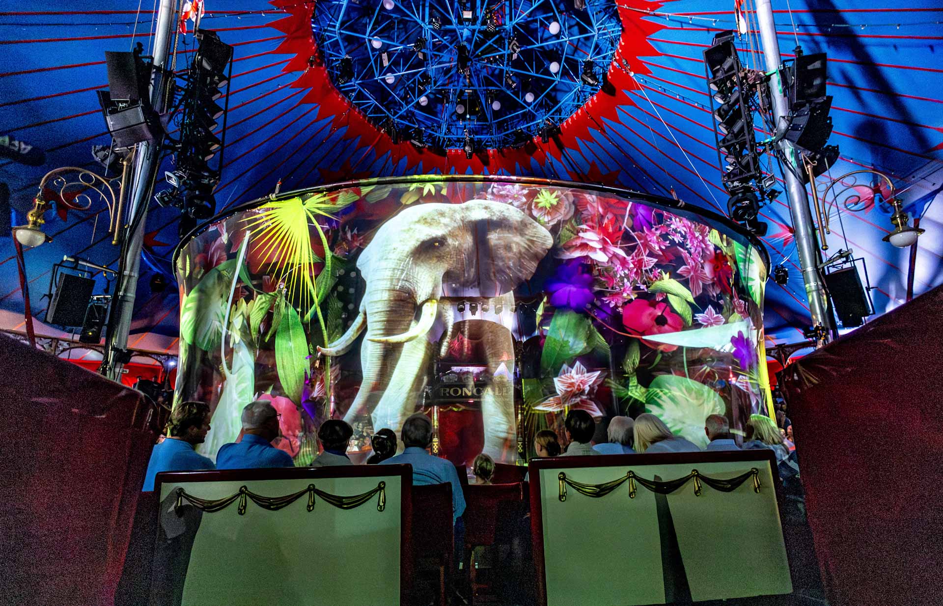 Image for the title: German circus replaces live animals with holograms 