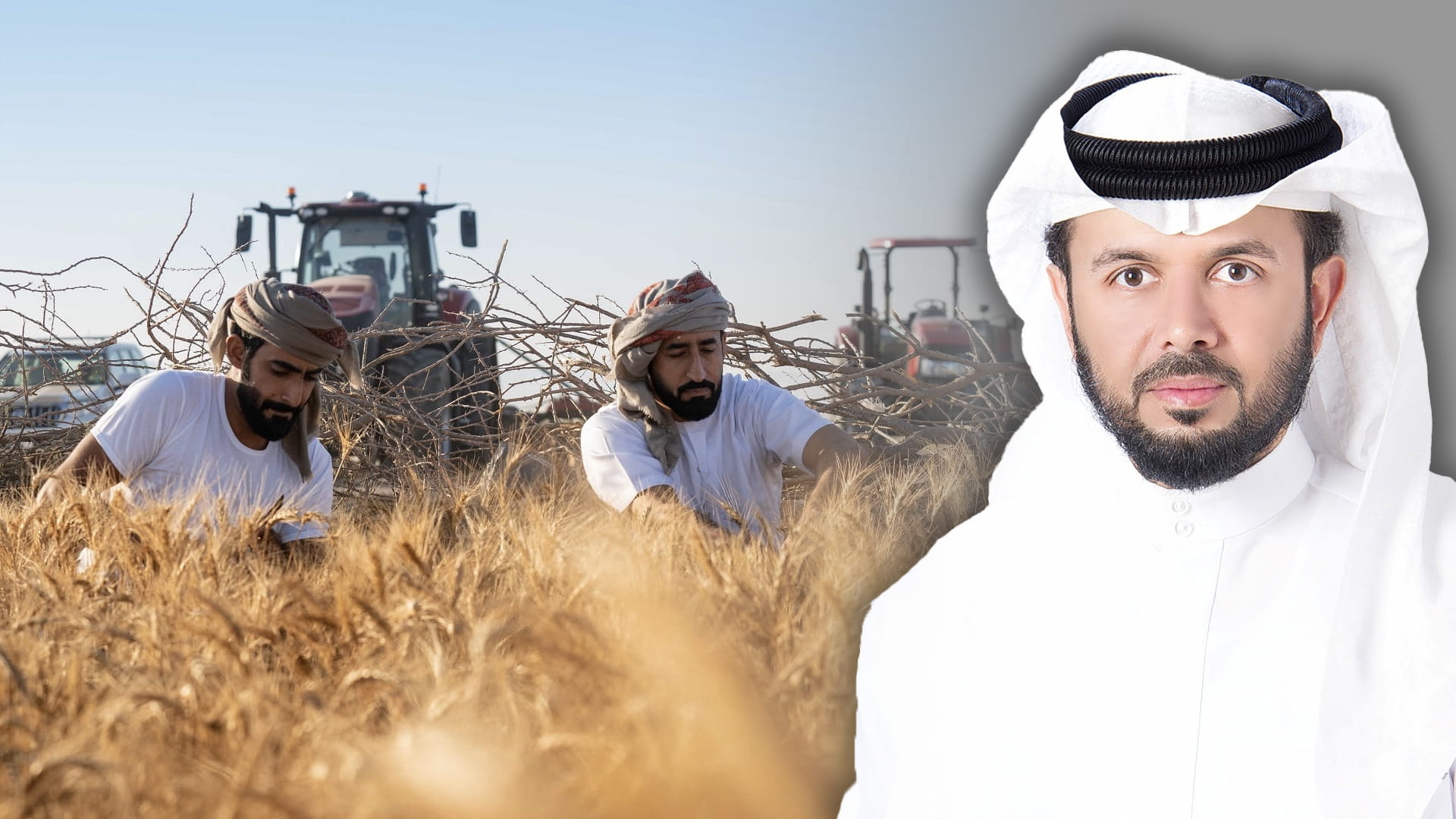 صورة بعنوان: الشارقة.. تجربة زراعية متفردة 