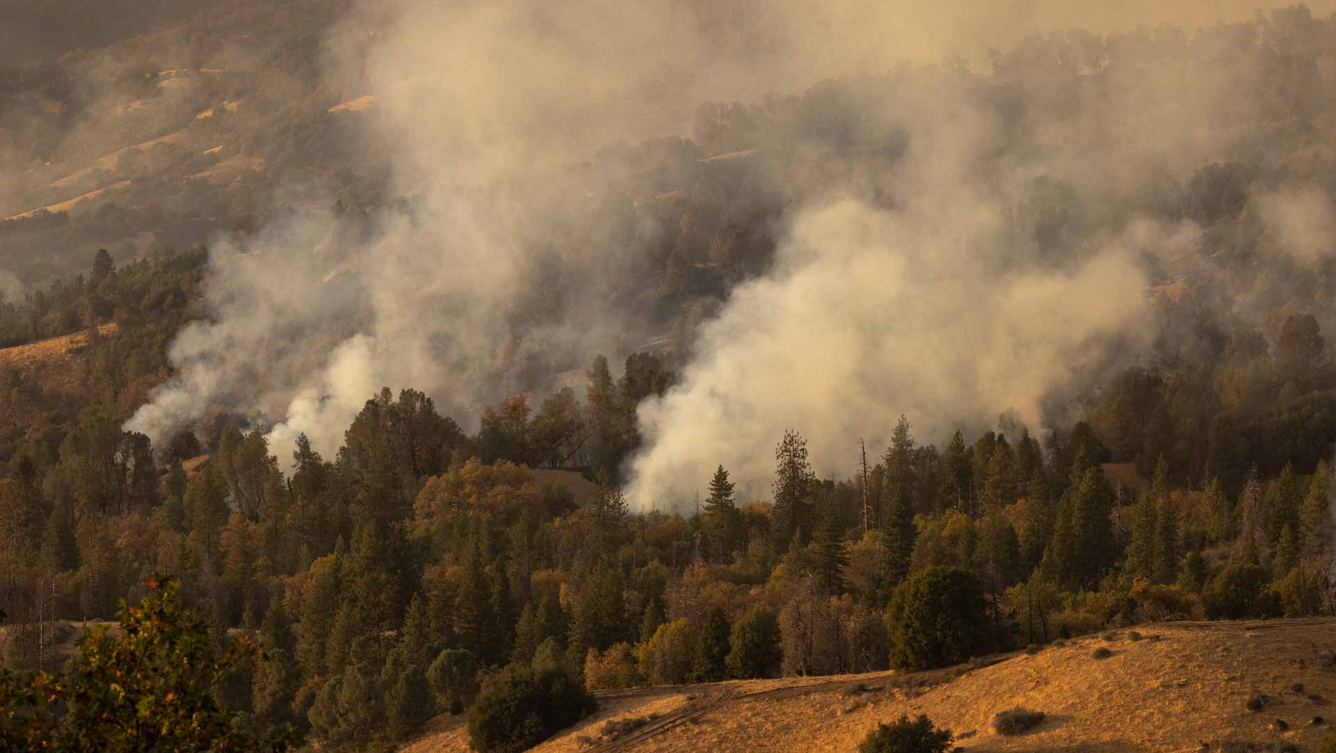 Image for the title: California firefighters use AI to battle wildfires 