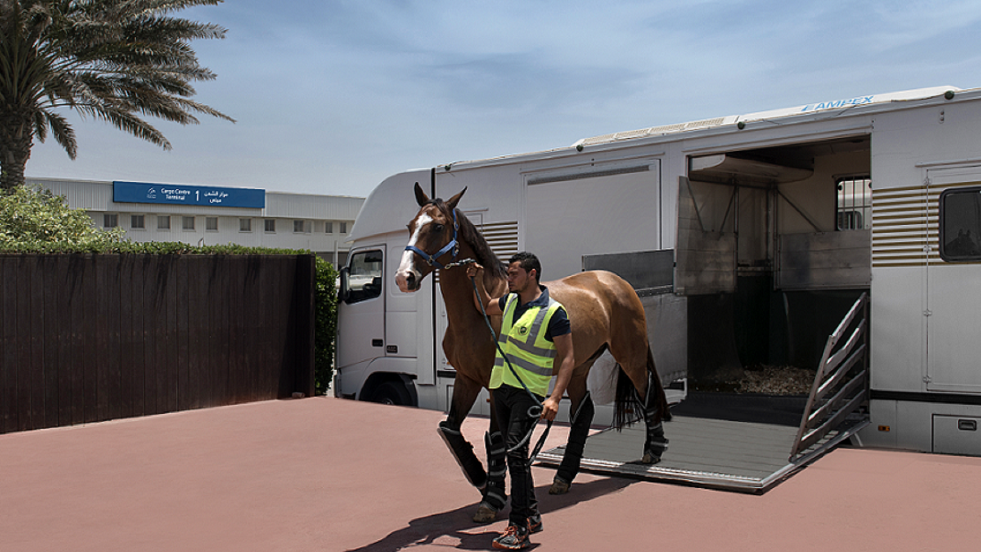 صورة بعنوان: مطار الشارقة يستكمل استعداداته لتقديم مناولة سريعة لشحنات الخيول 