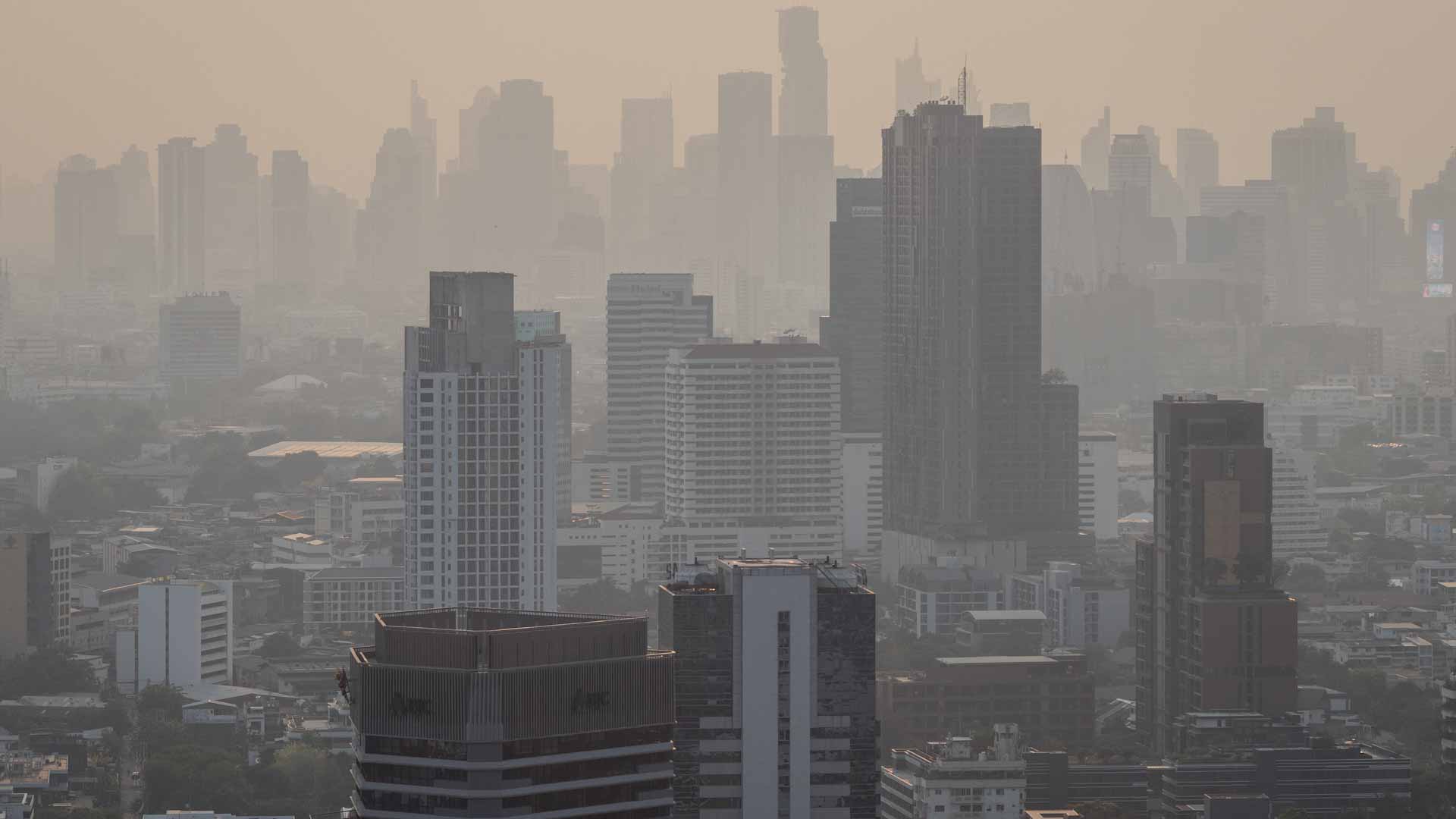 Image for the title: Thailand urged to halt crop burning after air pollution spike 