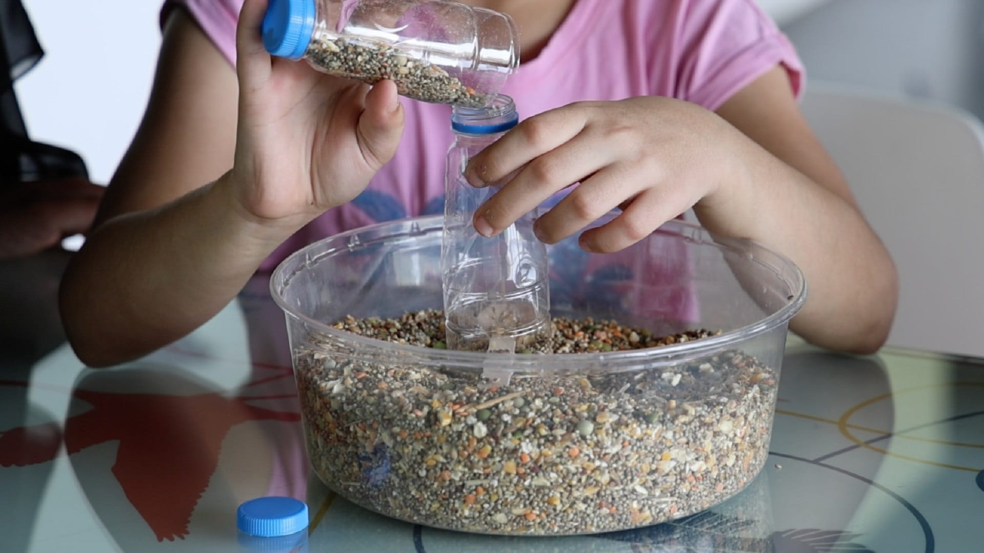Image for the title: Workshop for homeless children at Wasit Wetland Centre 
