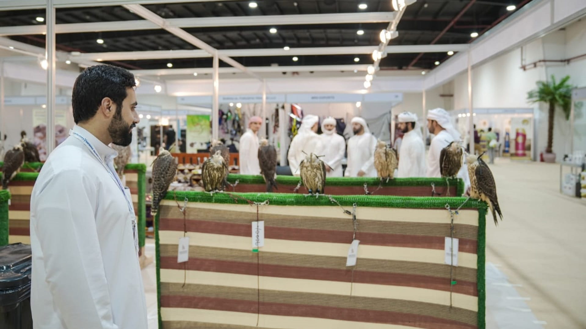 صورة بعنوان: عشاق الصيد والفروسية يترقّبون معرض الأصايل 2023 في إكسبو الذيد 