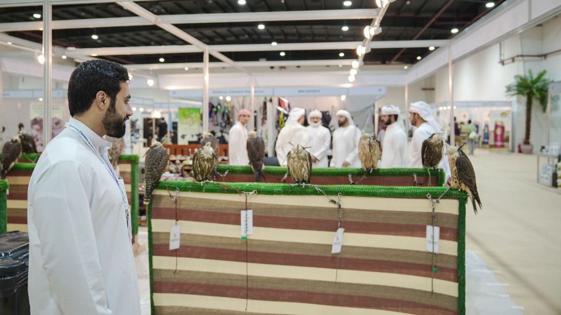 صورة بعنوان: بنسخته الثانية.. معرض "الأصايل 2023" ينطلق الخميس في إكسبو الذيد 