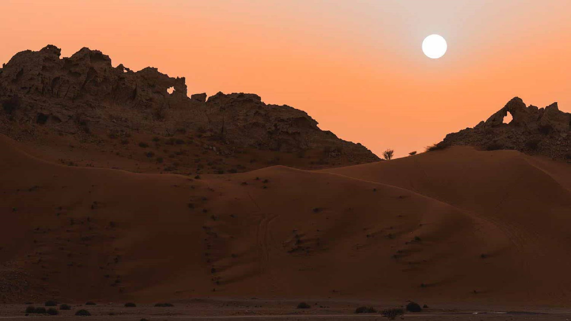 Image for the title: Tanweer Sacred Music Festival launches phase one of tickets sale 