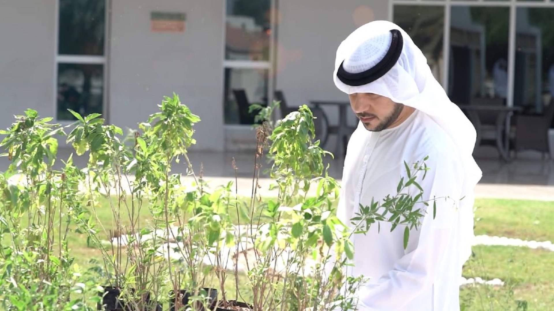 صورة بعنوان: بيئة ومحميات الشارقة تستهدف إشراك 400 موظف بمبادرة توزيع الشتلات 