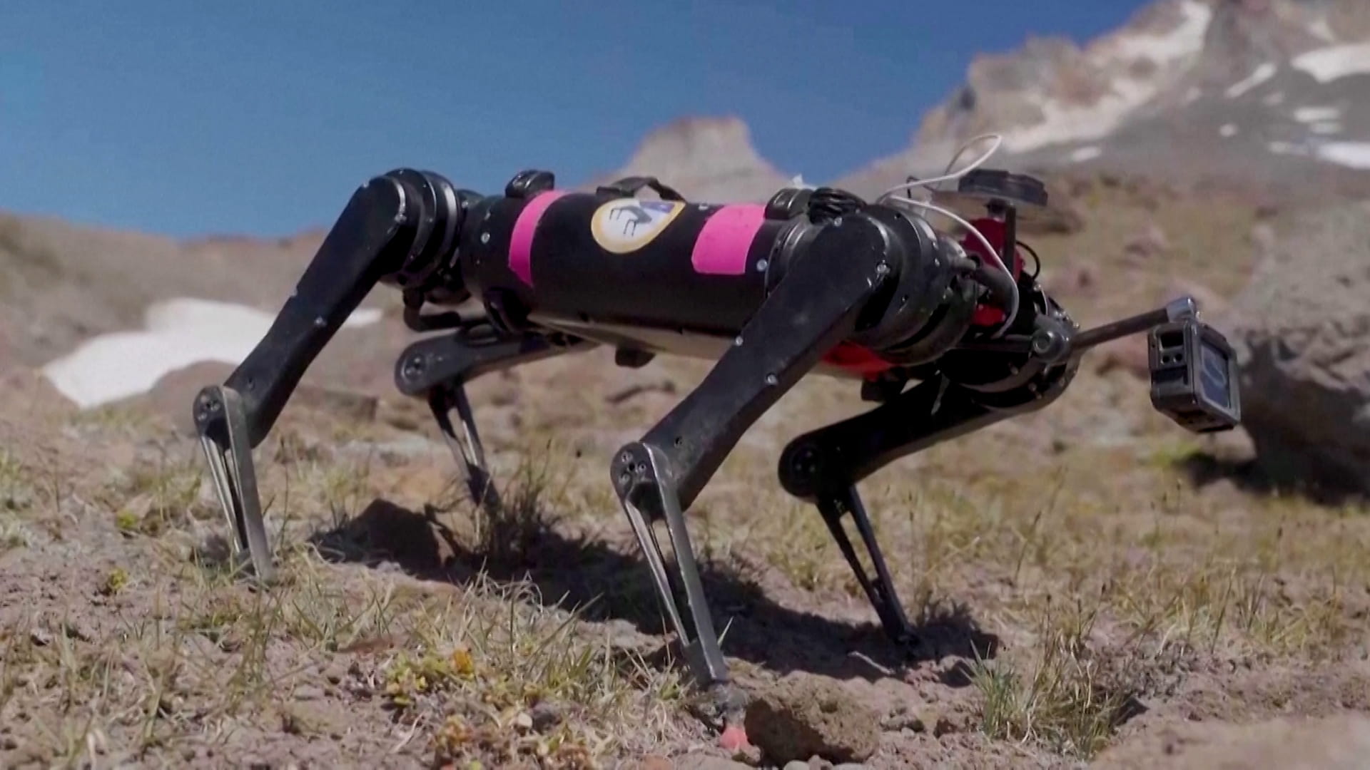 Image for the title: Scientists train a robot to walk on the moon 