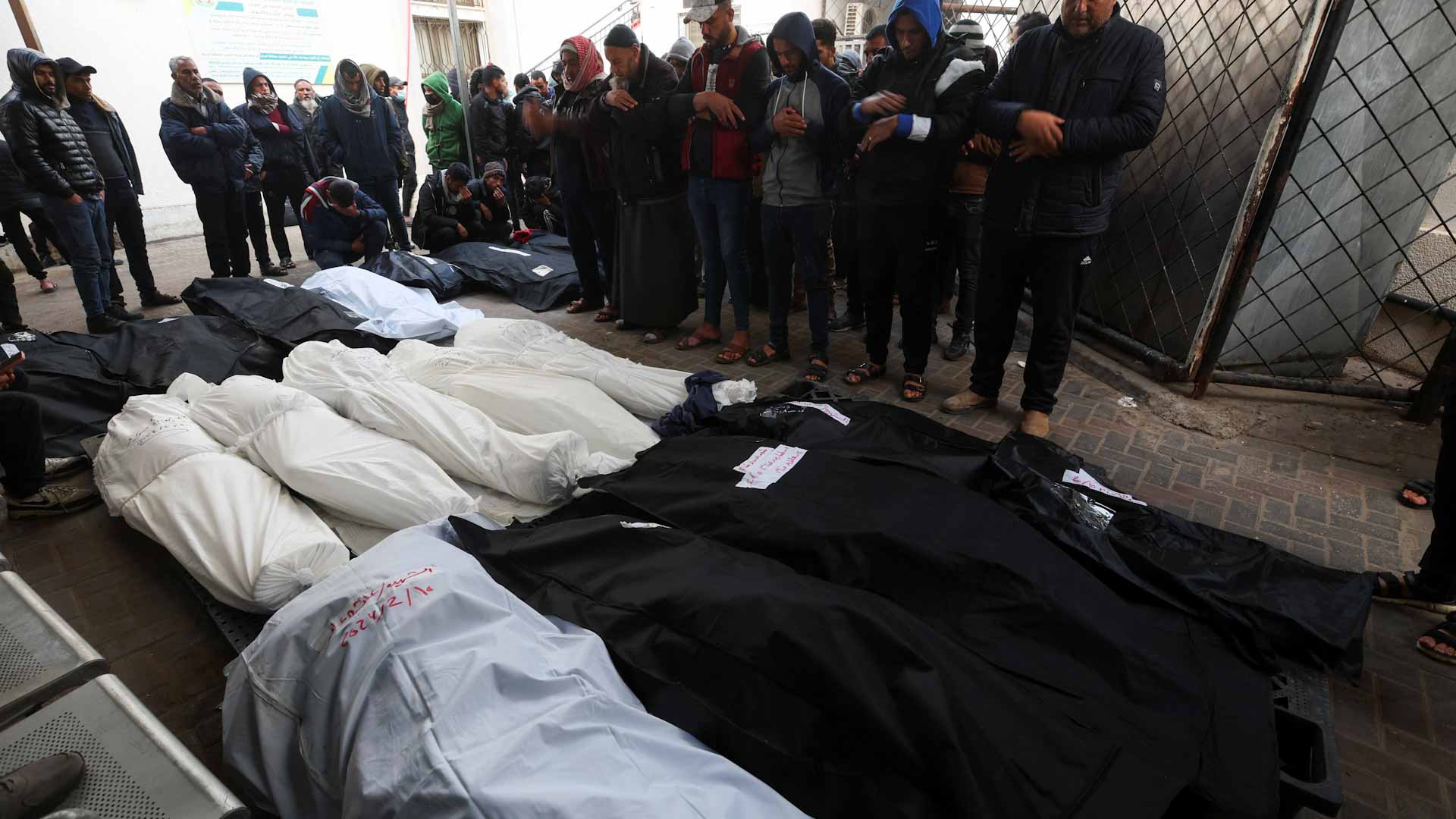 صورة بعنوان: مقتل 33729 فلسطينياً في القصف الإسرائيلي المتواصل على قطاع غزة  