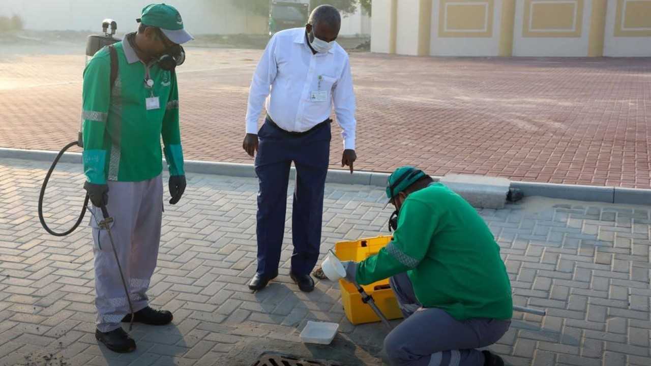 صورة بعنوان: بلدية الحمرية تطلق حملات واسعة لمكافحة آفات الصحة العامة 