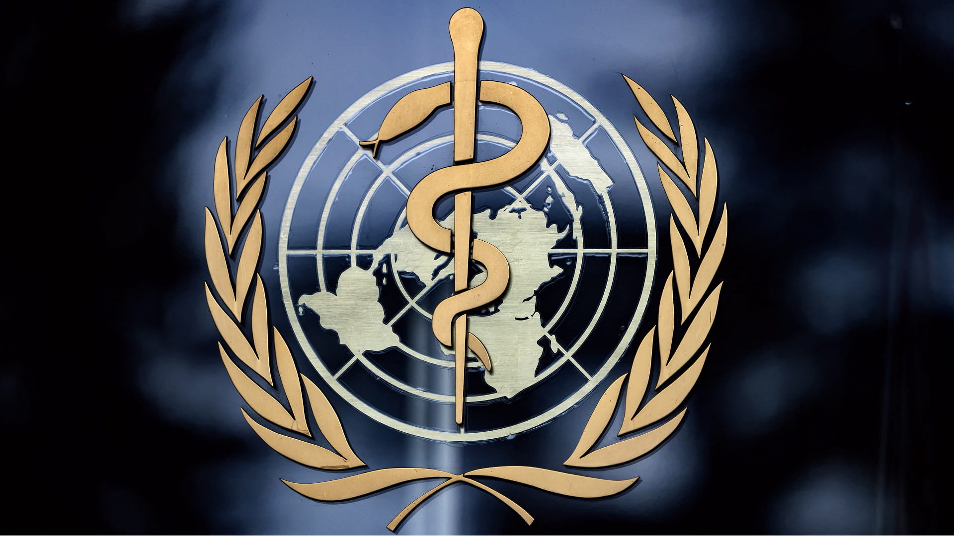 Image for the title: WHO says bird flu risk currently low, urges vigilance 