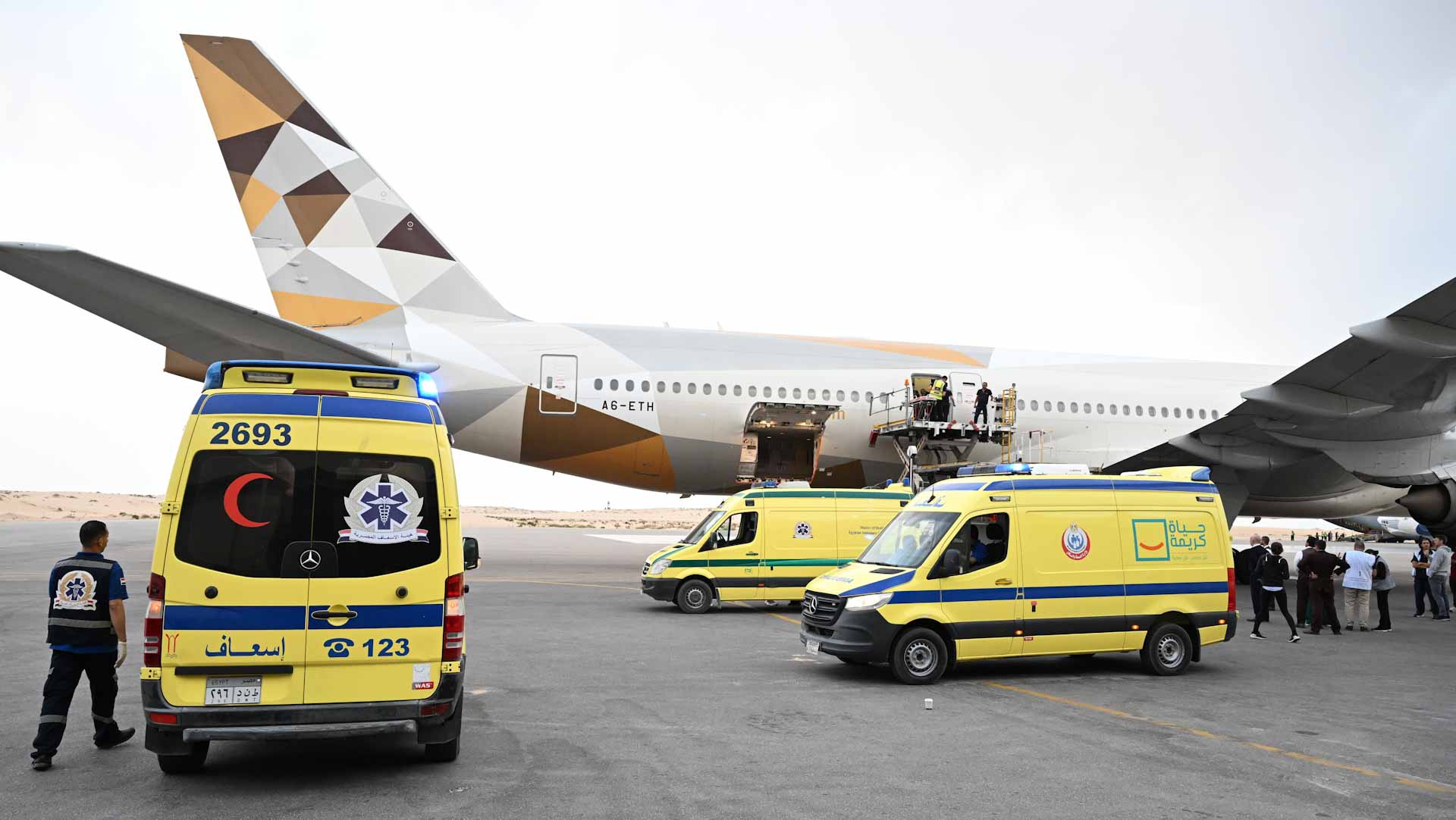 Image for the title: UAE welcomes 16th group of wounded Palestinian children 