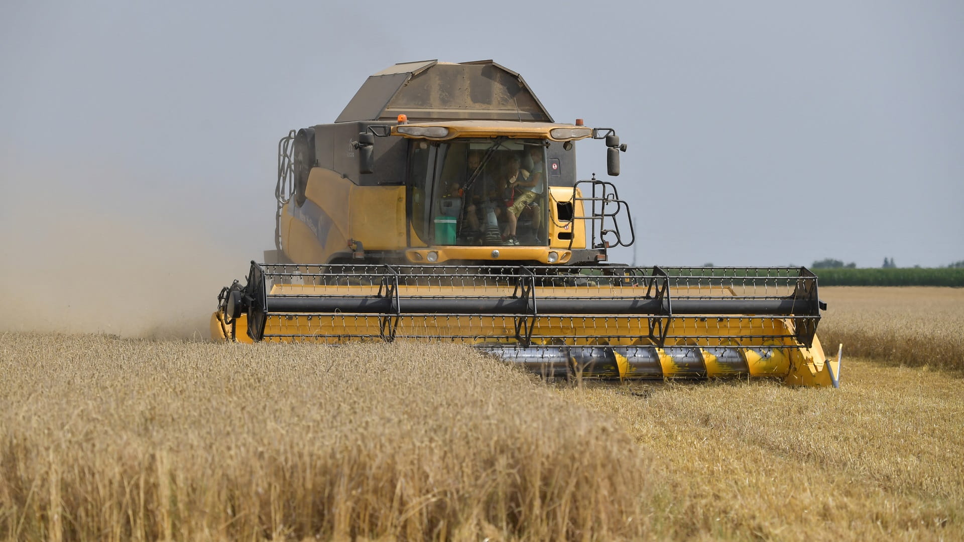 Image for the title: France heading to one of worst wheat harvests in 40 years 