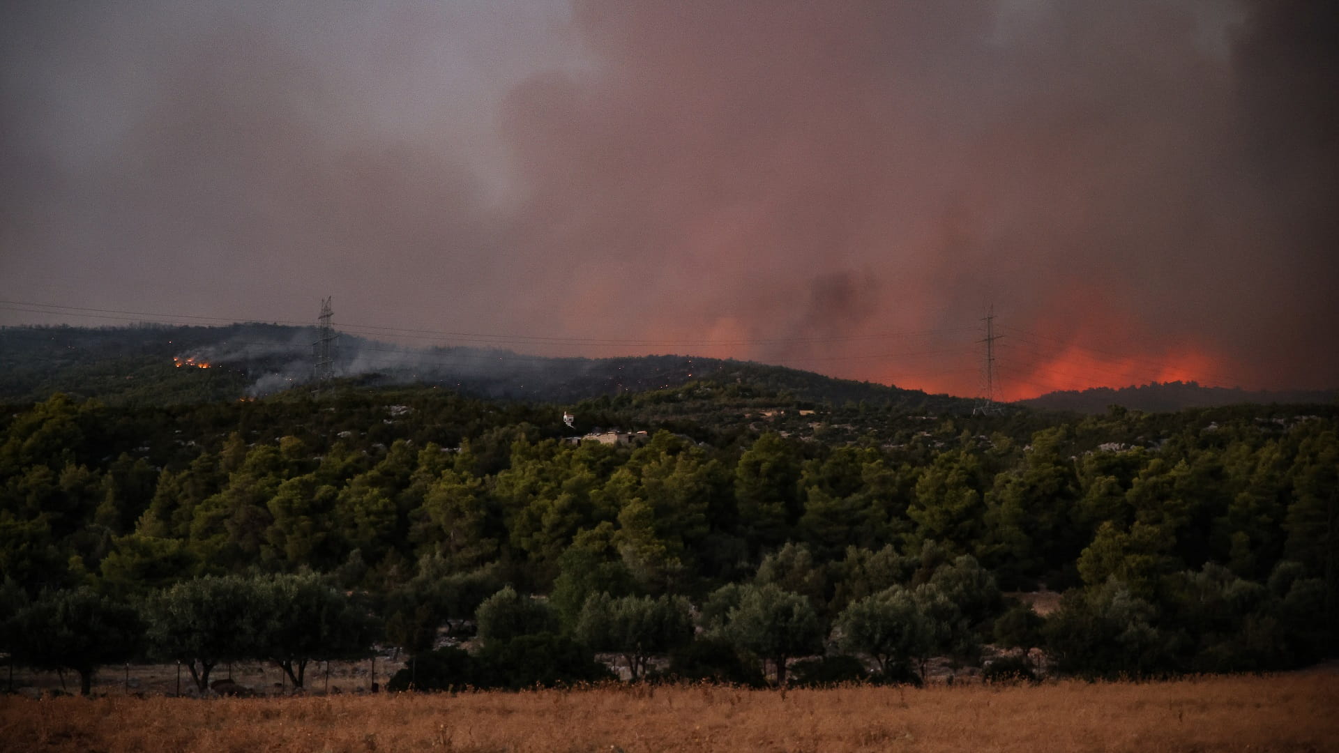 Image for the title: Greece battling wildfires amid high winds 