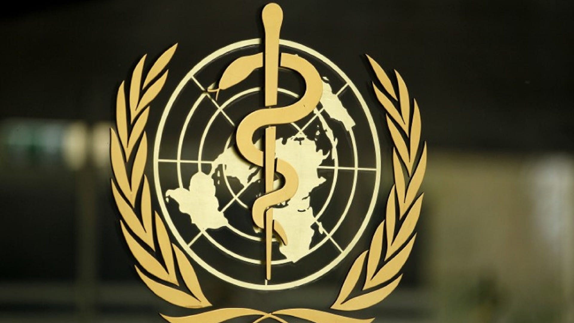 صورة بعنوان: منظمة الصحة العالمية: 316 حالة وفاة بالكوليرا في السودان 