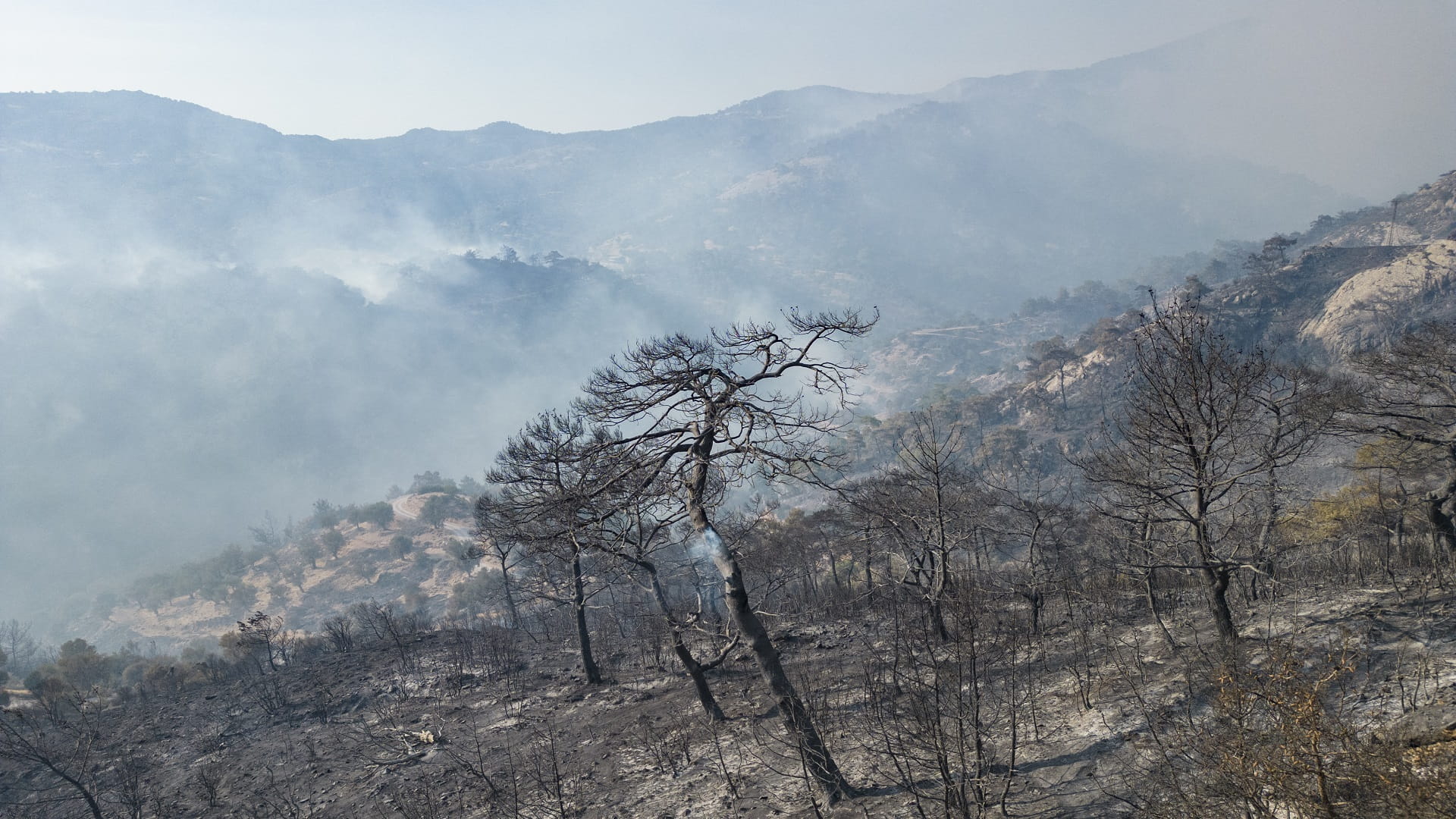 Image for the title: Hundreds evacuated as forest fire rages in Turkey 