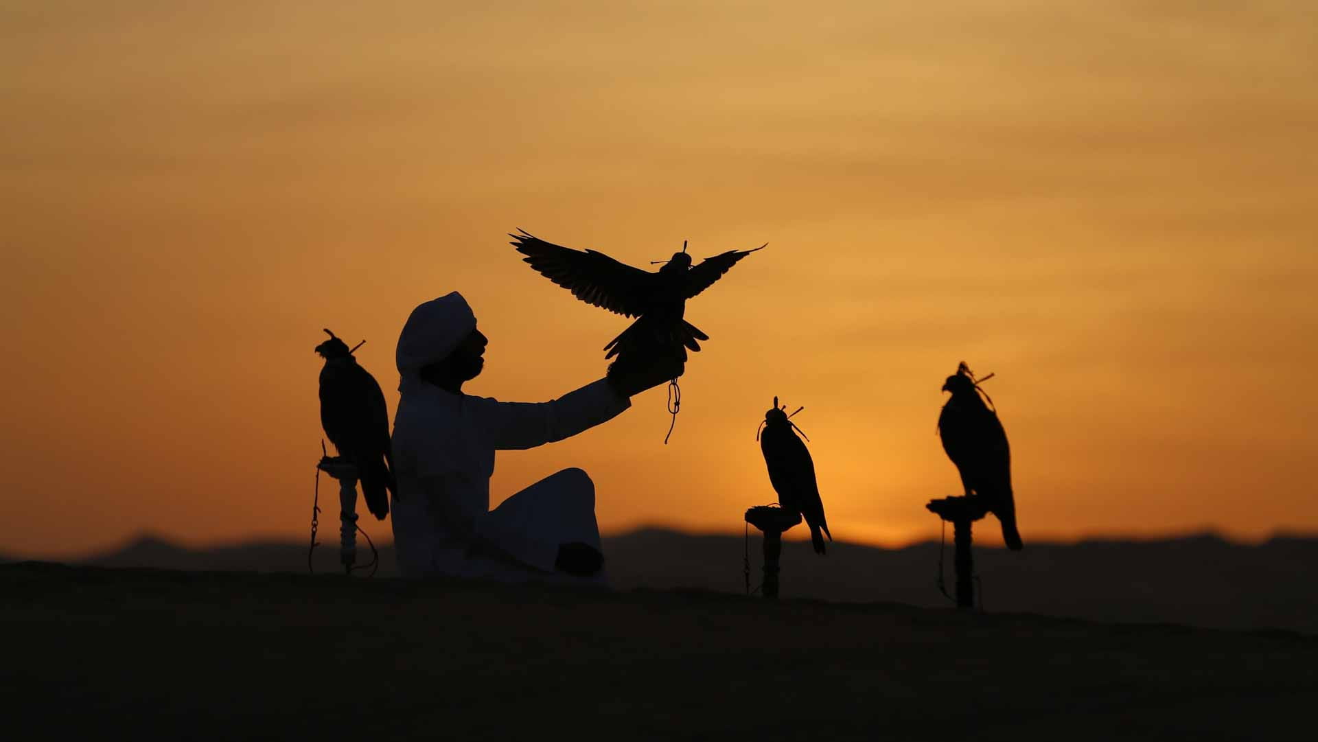 Image for the title: ADHA to showcase UAE traditions as heritage partner of ADIHEX 2024 