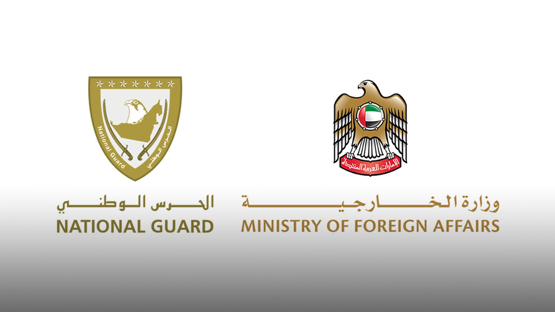 صورة بعنوان: الخارجية والحرس الوطني ينفذان رابع مهمة إسعاف جوي 